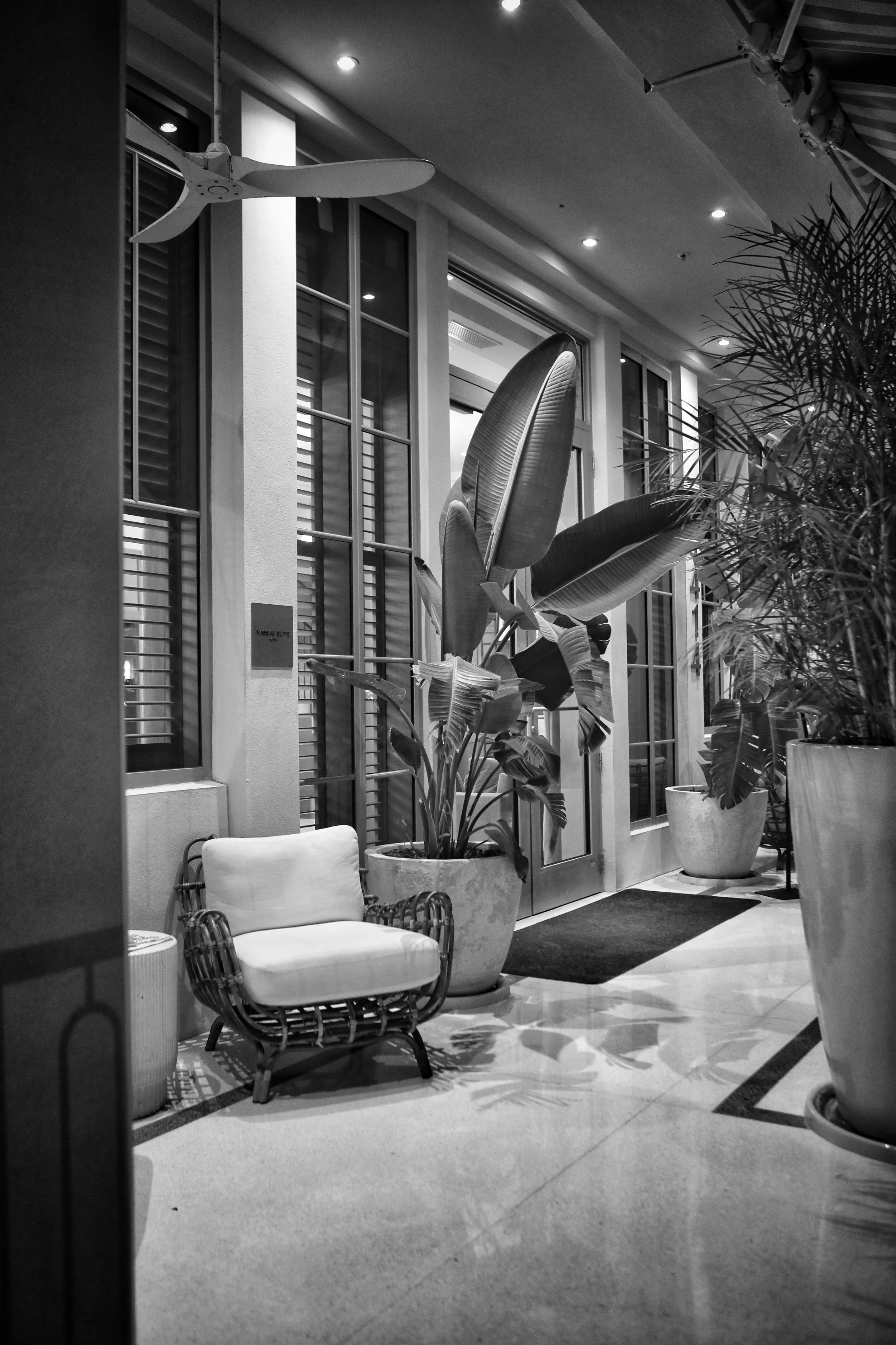 20241205201451_AA7A3930 (1).JPG