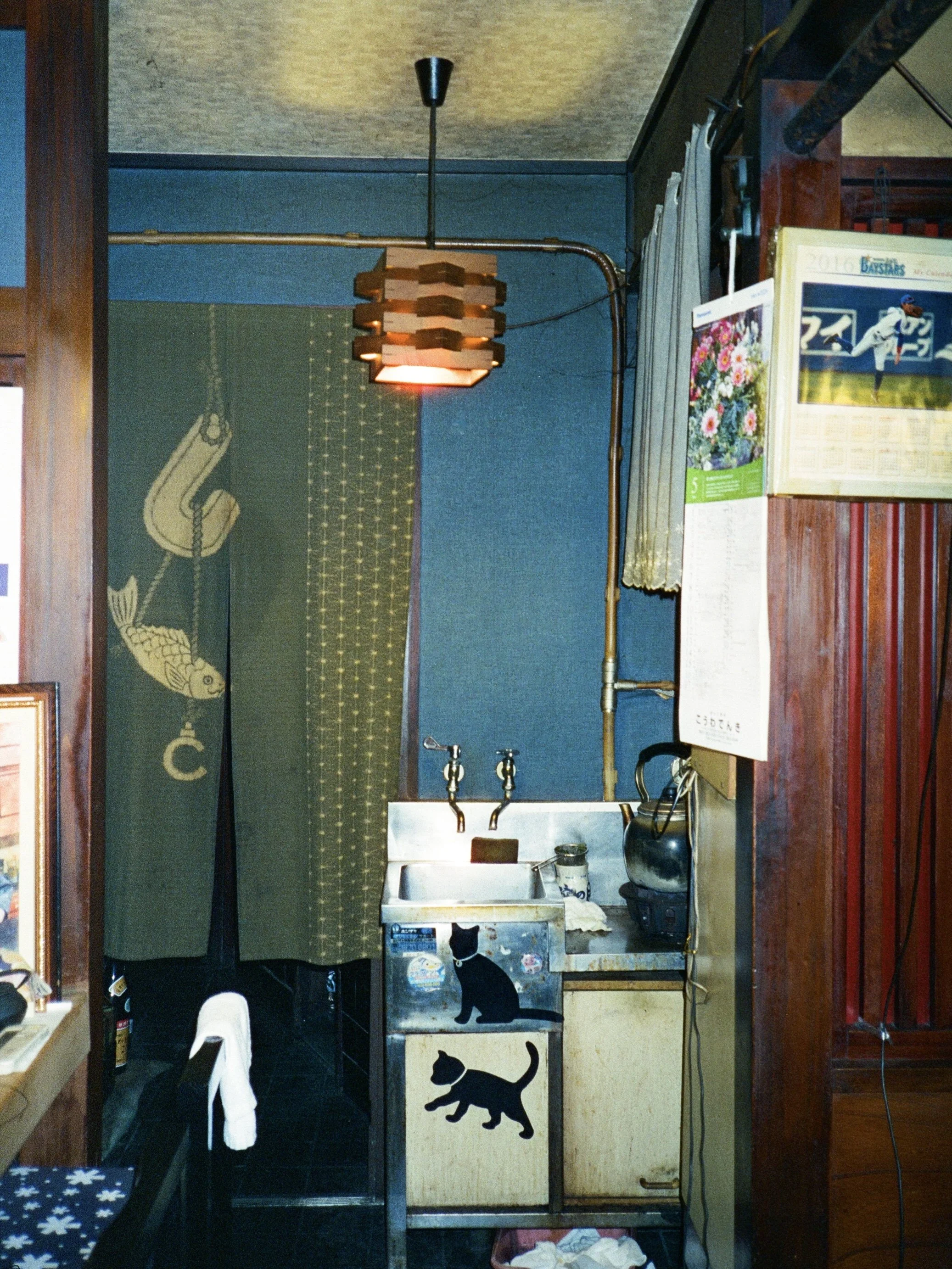 cinestill_800t(26).jpeg