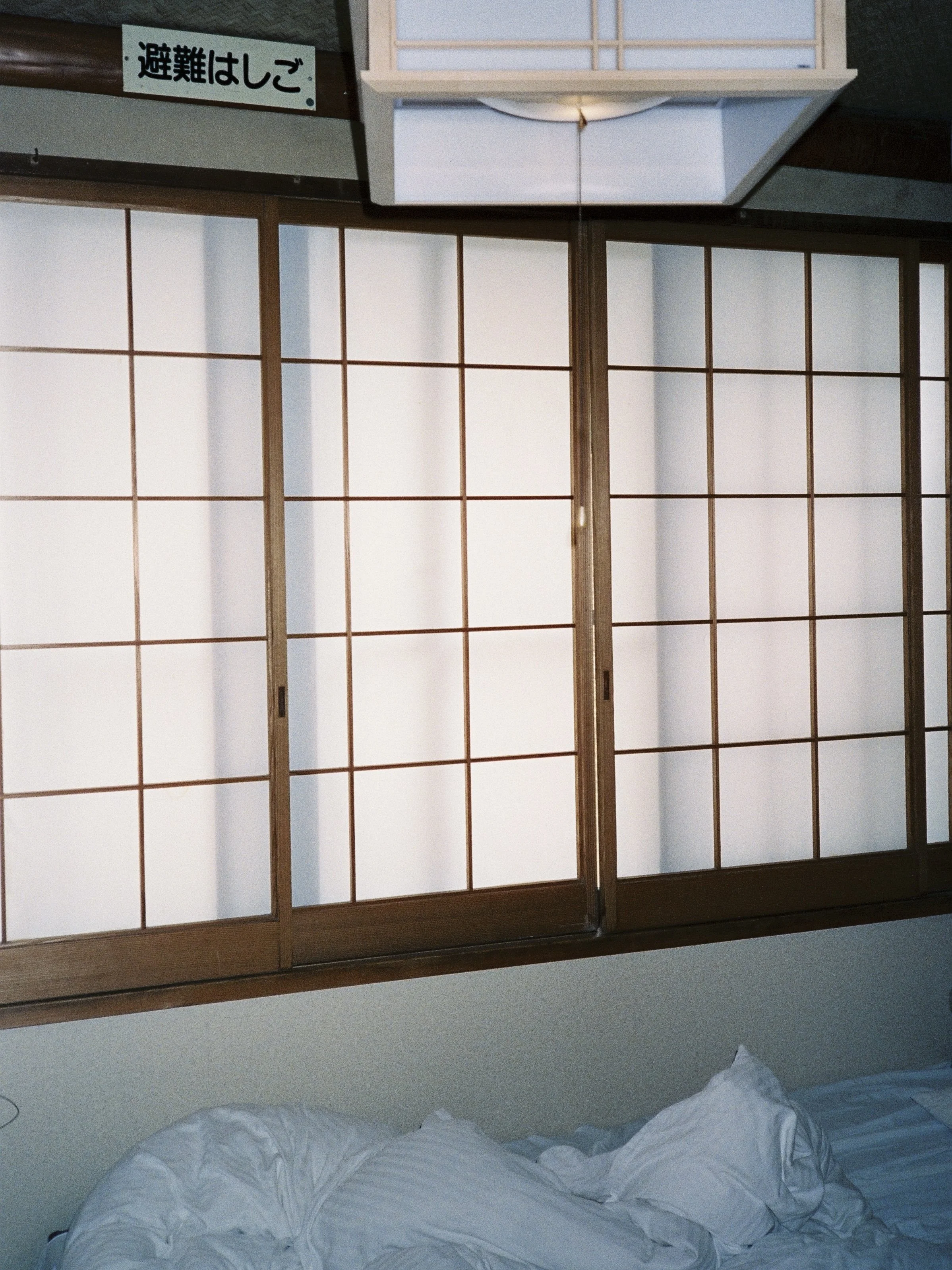 cinestill_800t(17).jpeg