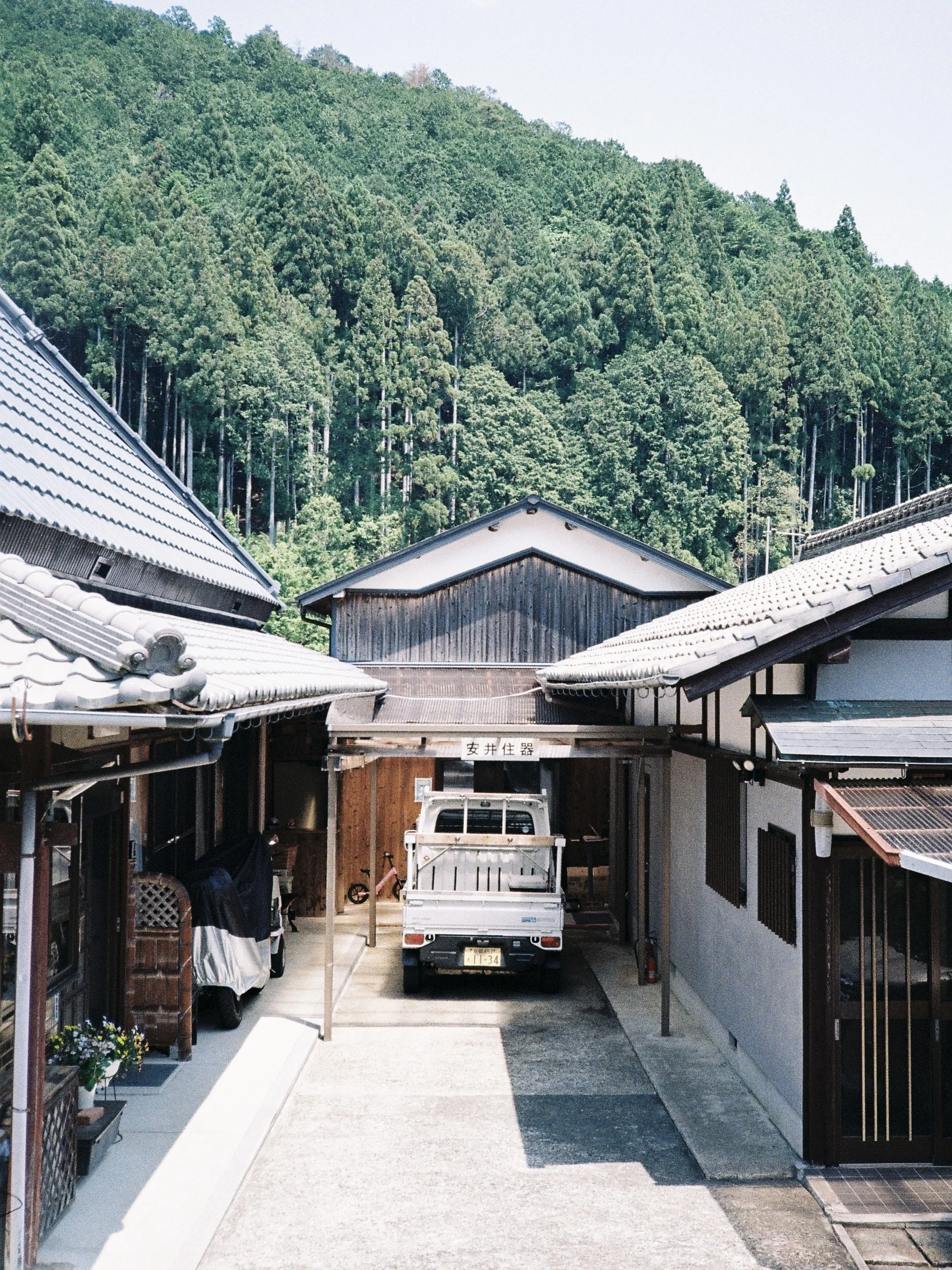 kodak_gold_200(24).jpeg