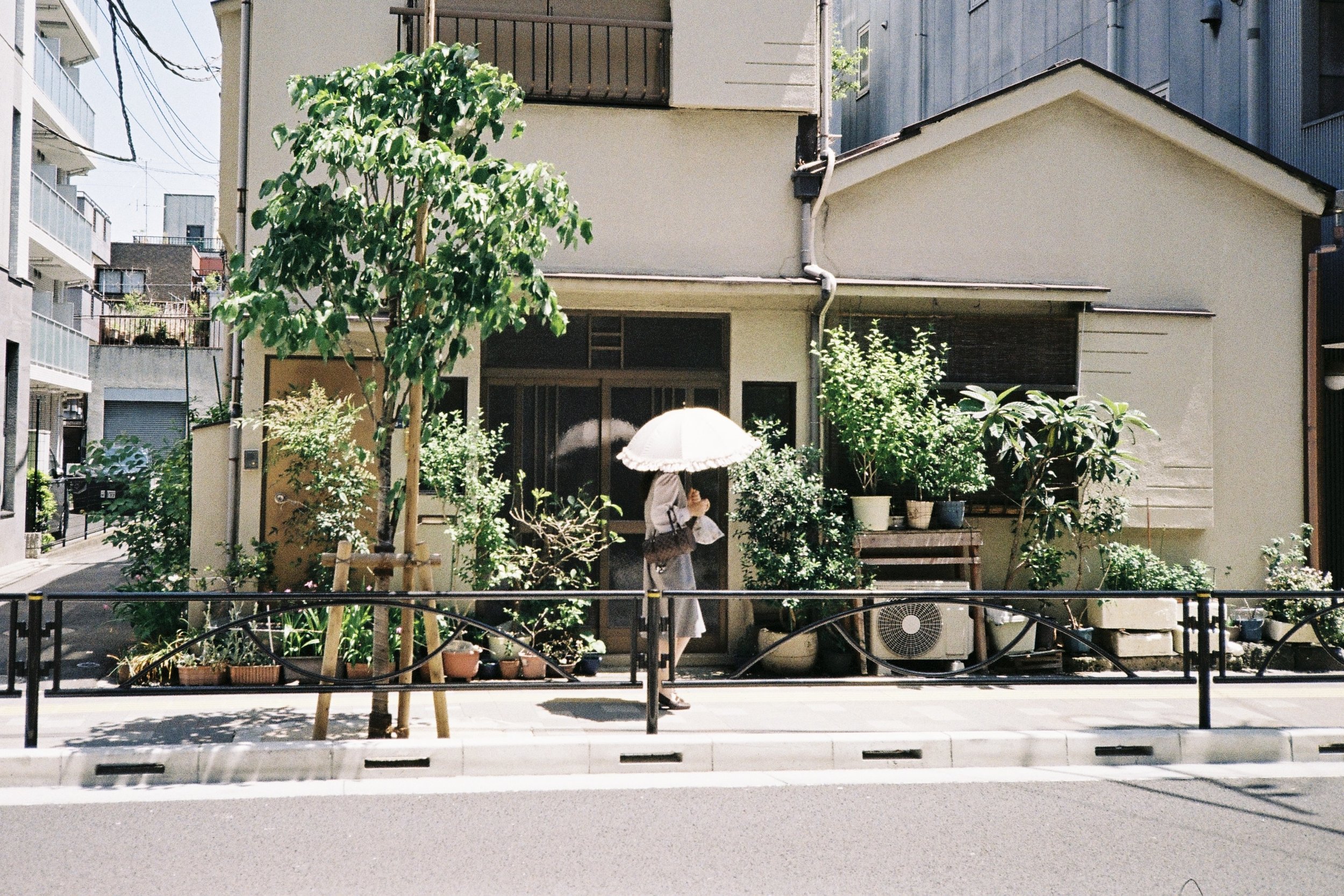 kodak_gold_200(22).jpeg