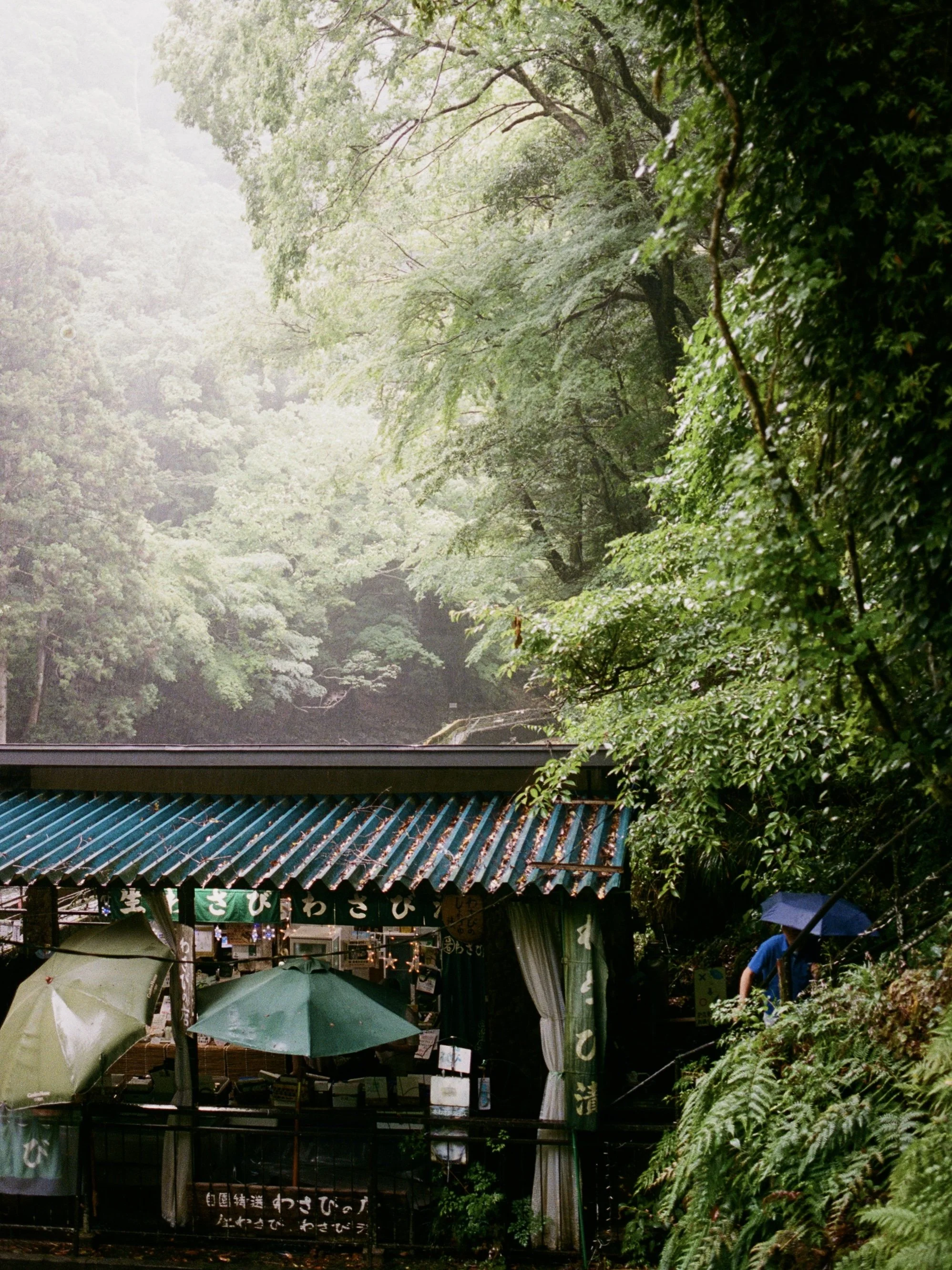 kodak_portra_400(37).jpeg