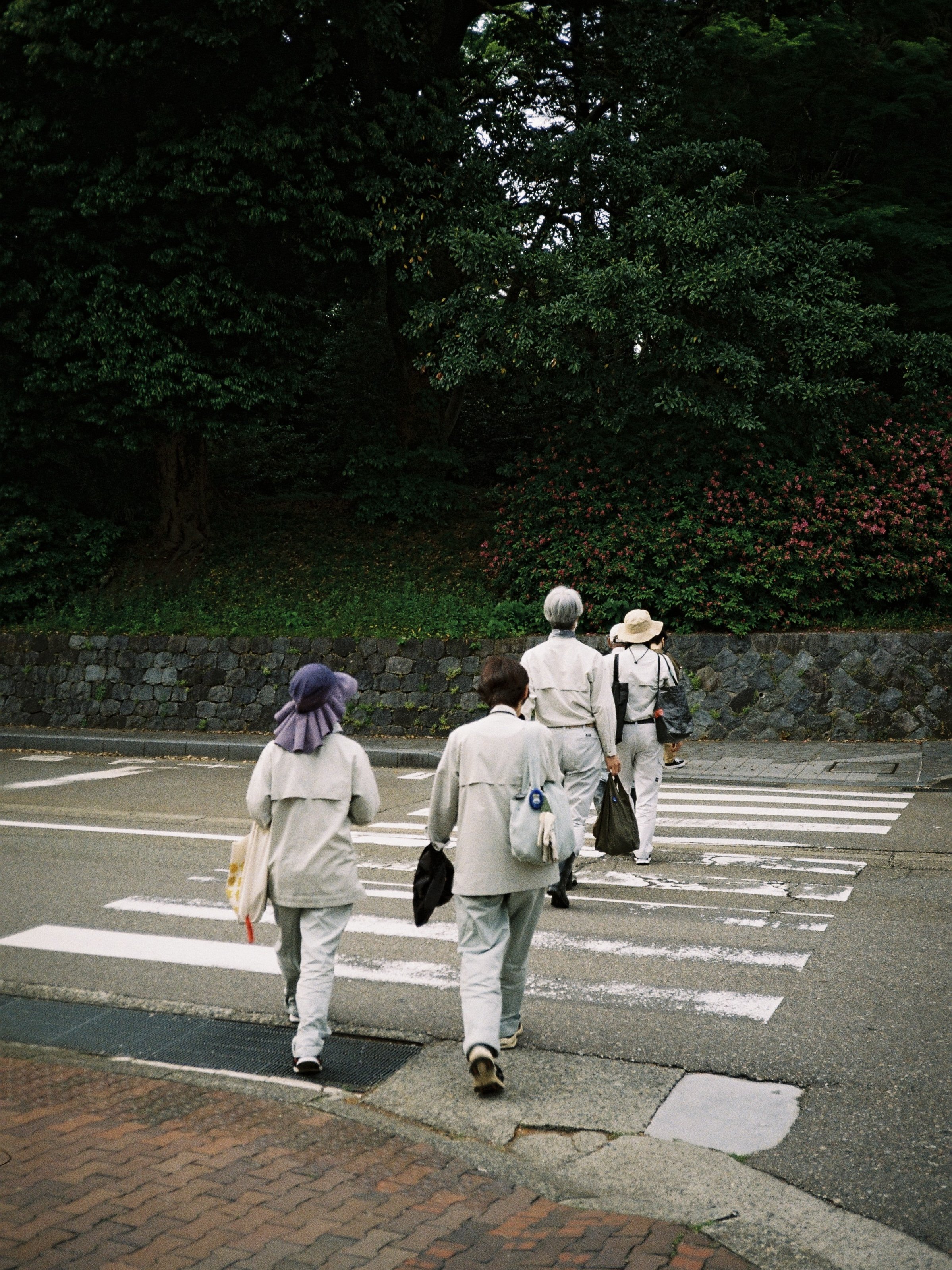 kodak_gold_200(1).jpeg