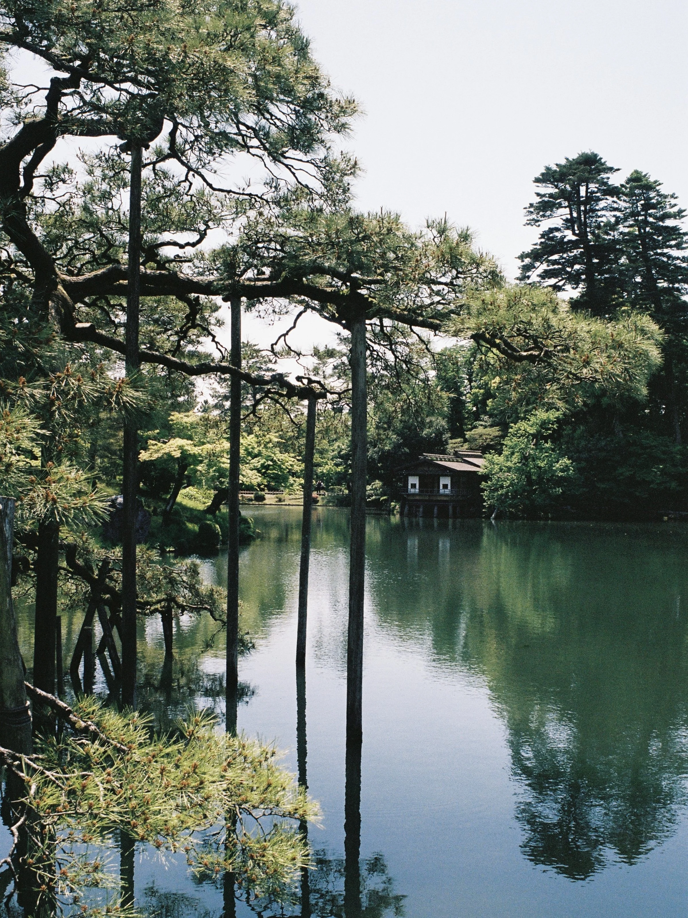 kodak_portra_400(29).jpeg