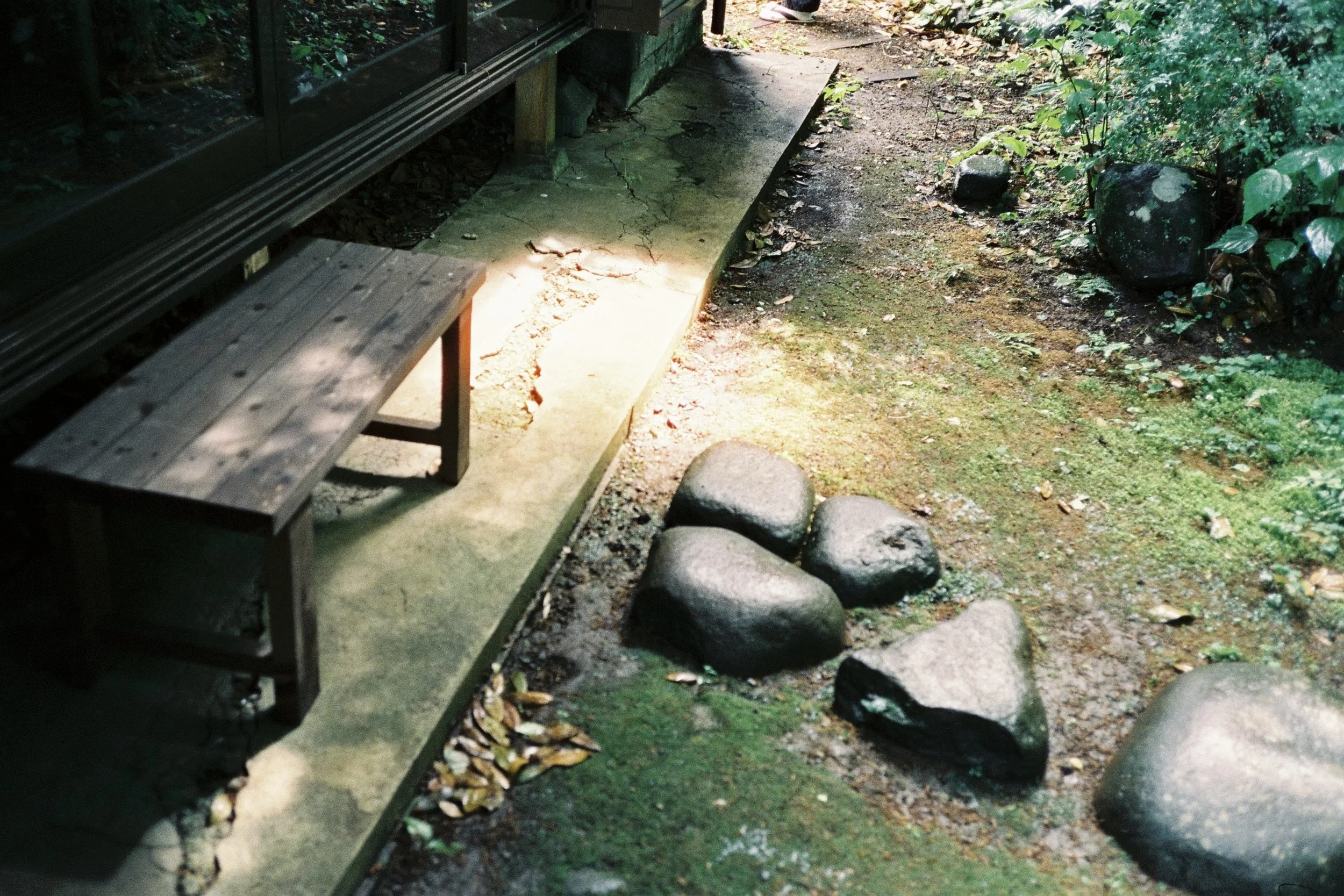 cinestill_800t(22).jpeg