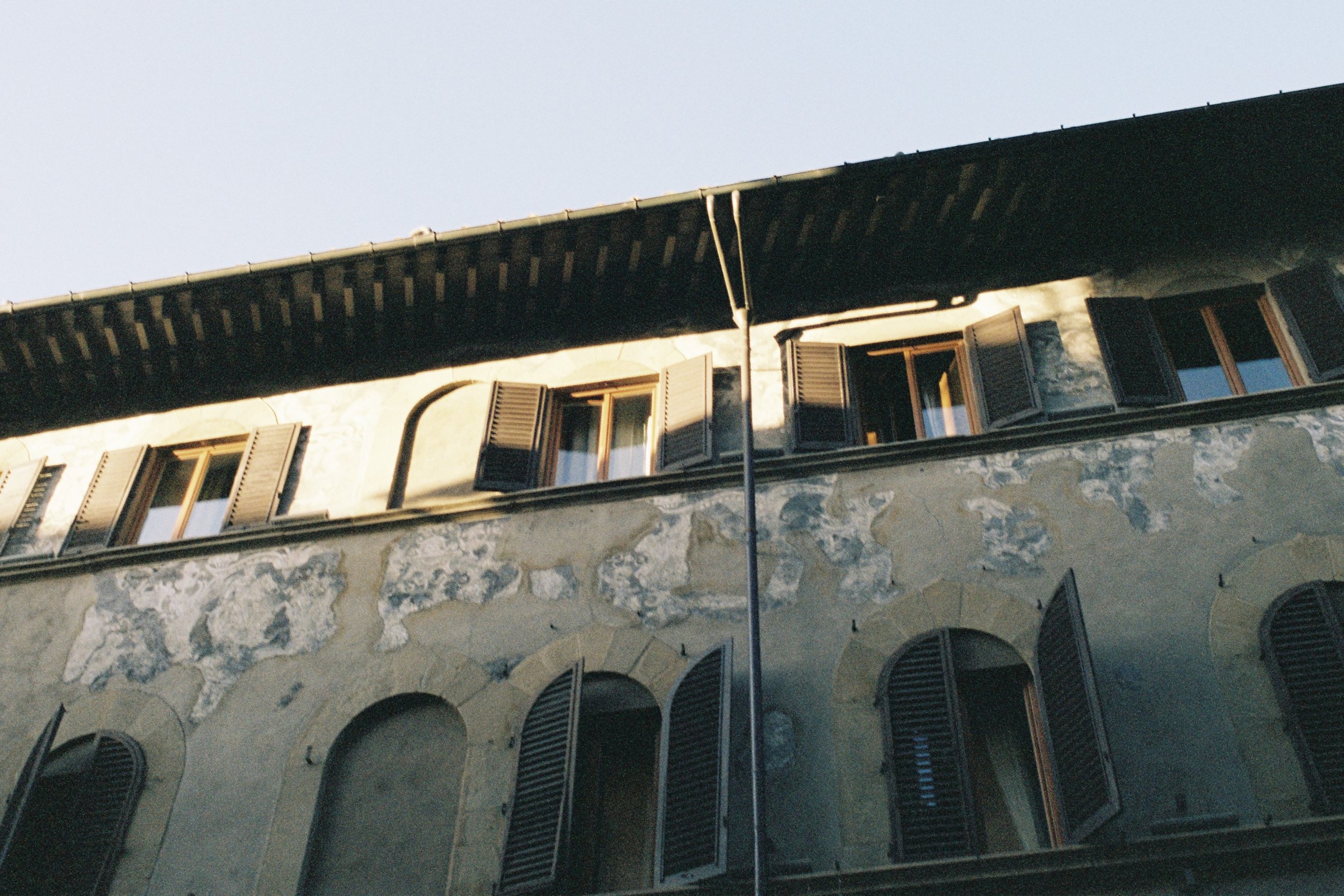 IMG_7486.jpeg