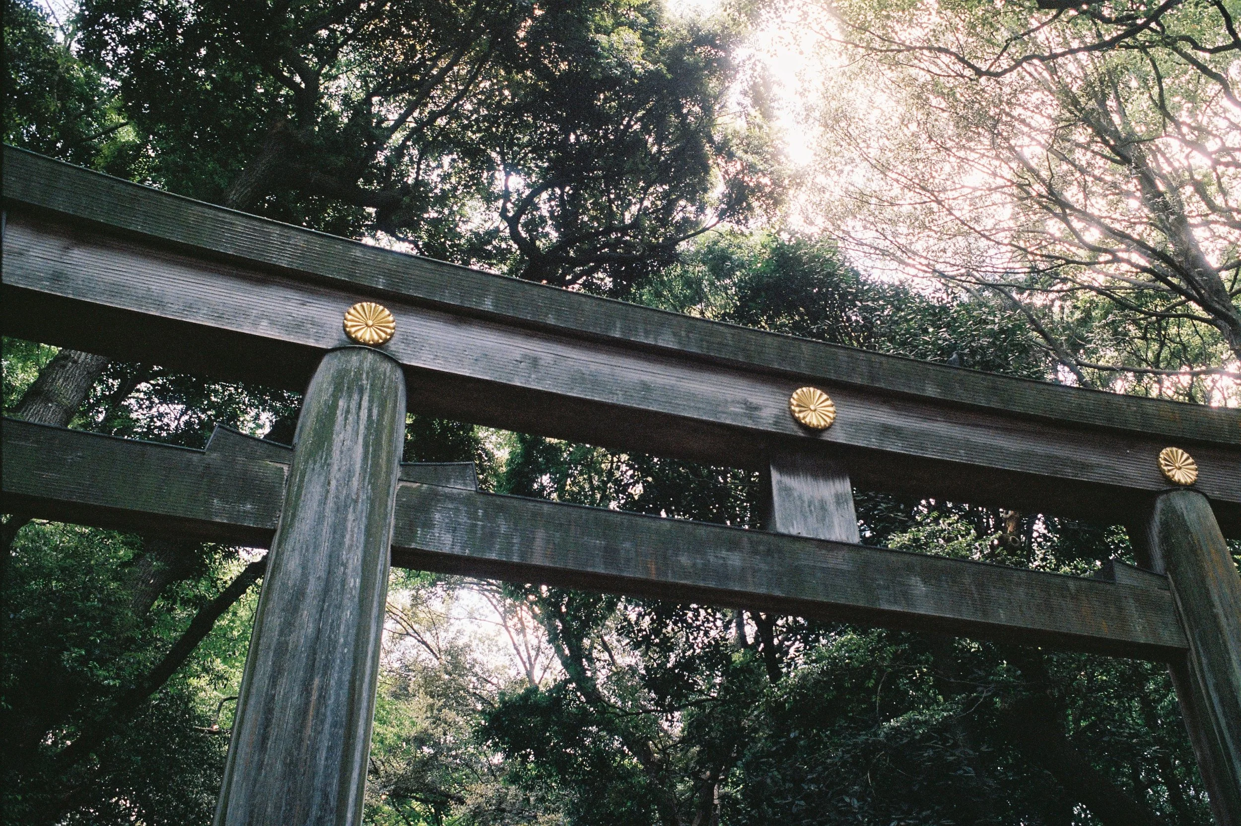 kodak_portra_400(31).jpeg