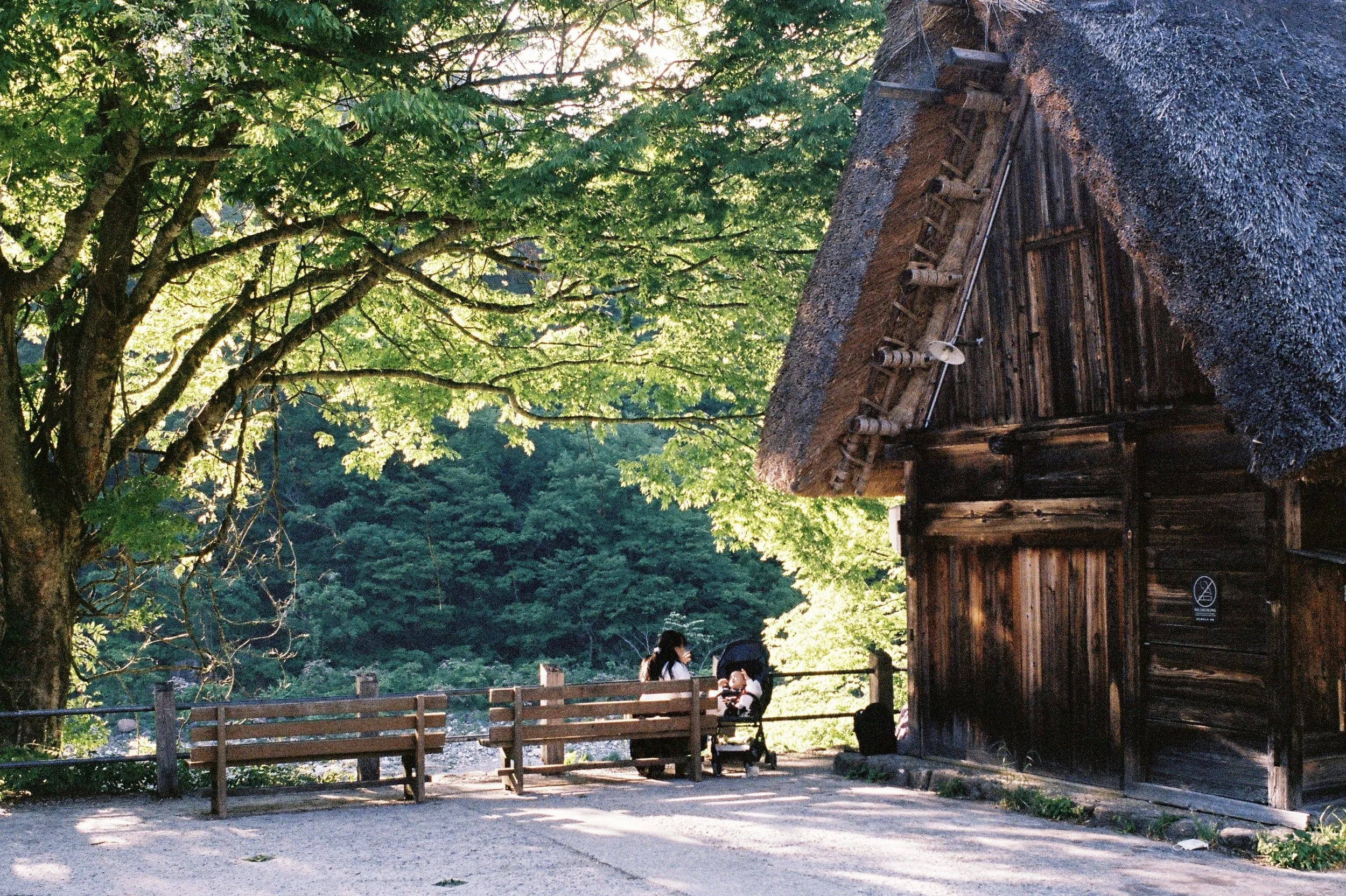 kodak_portra_400(30).jpeg