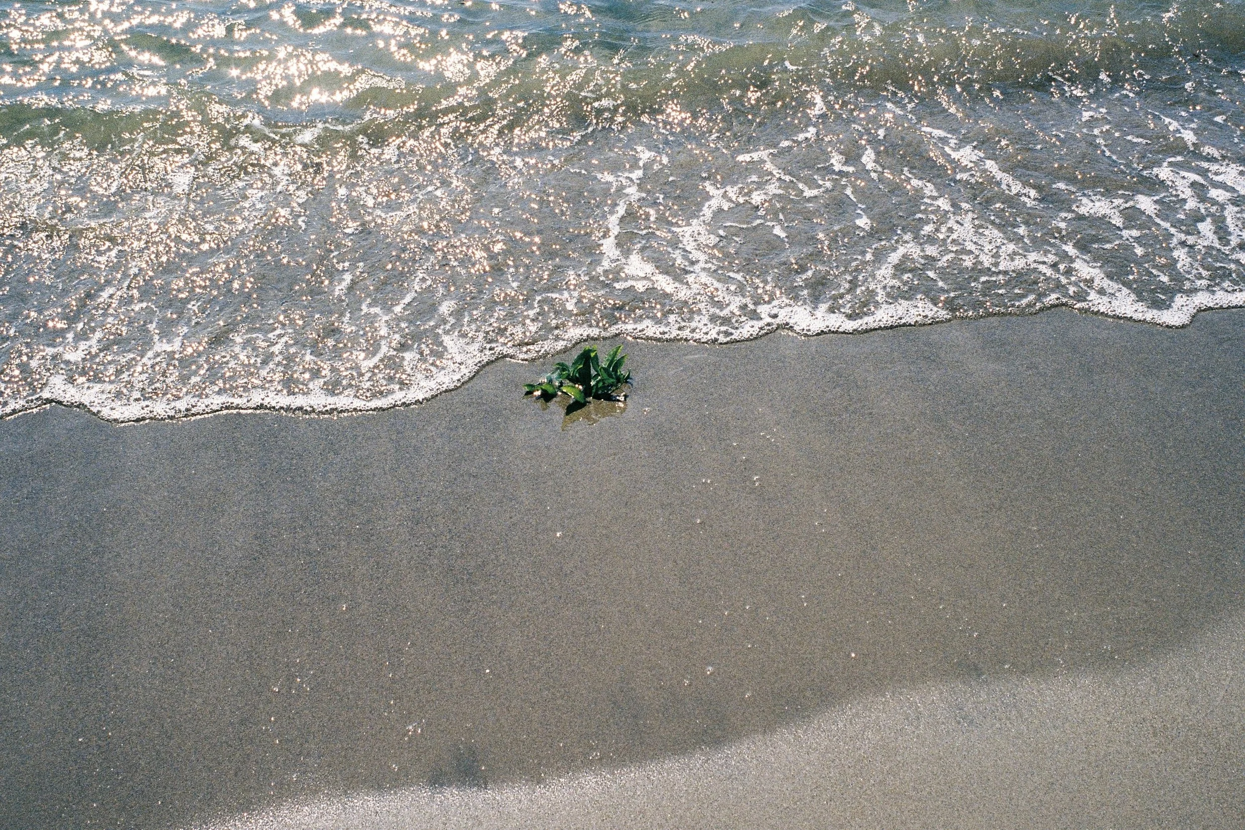 kodak_portra_400(33).jpeg