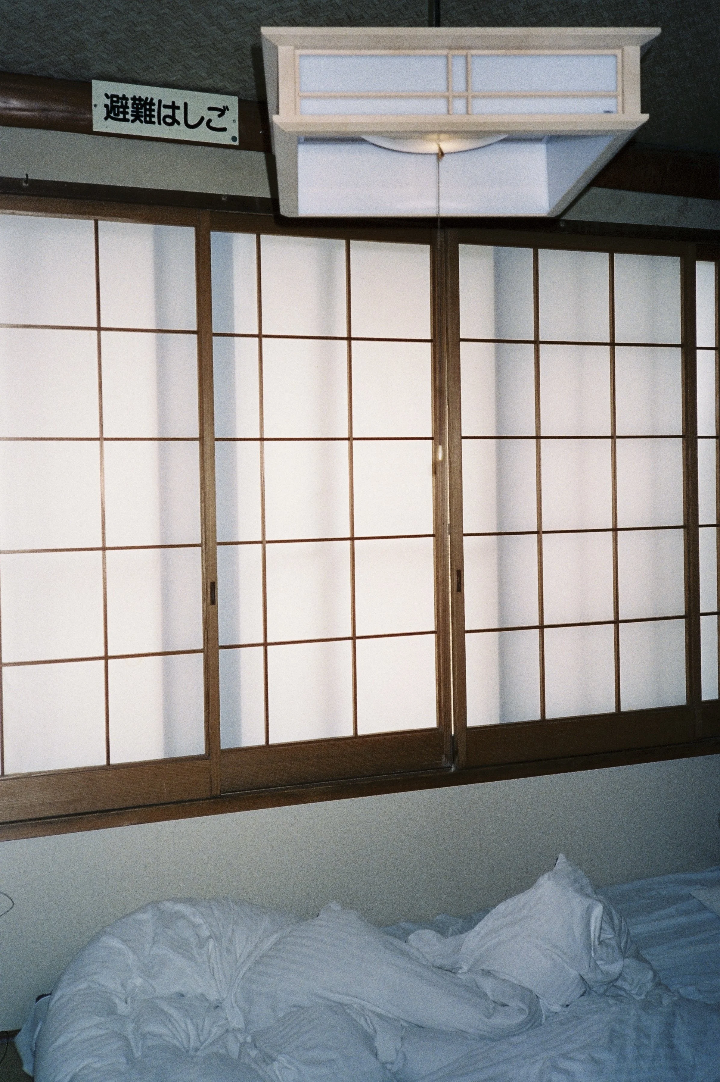 cinestill_800t(17).jpeg