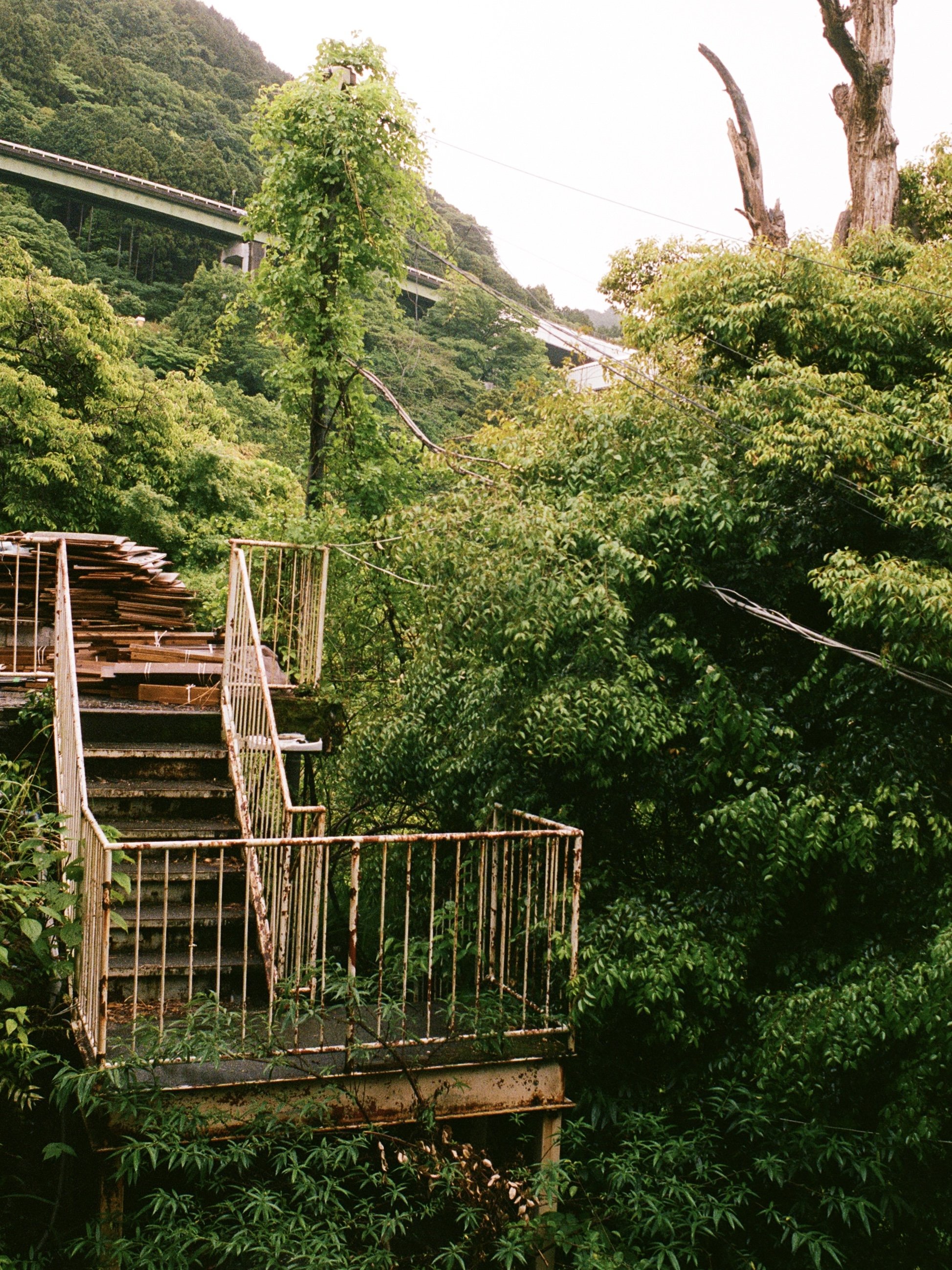 kodak_portra_400(16).jpeg