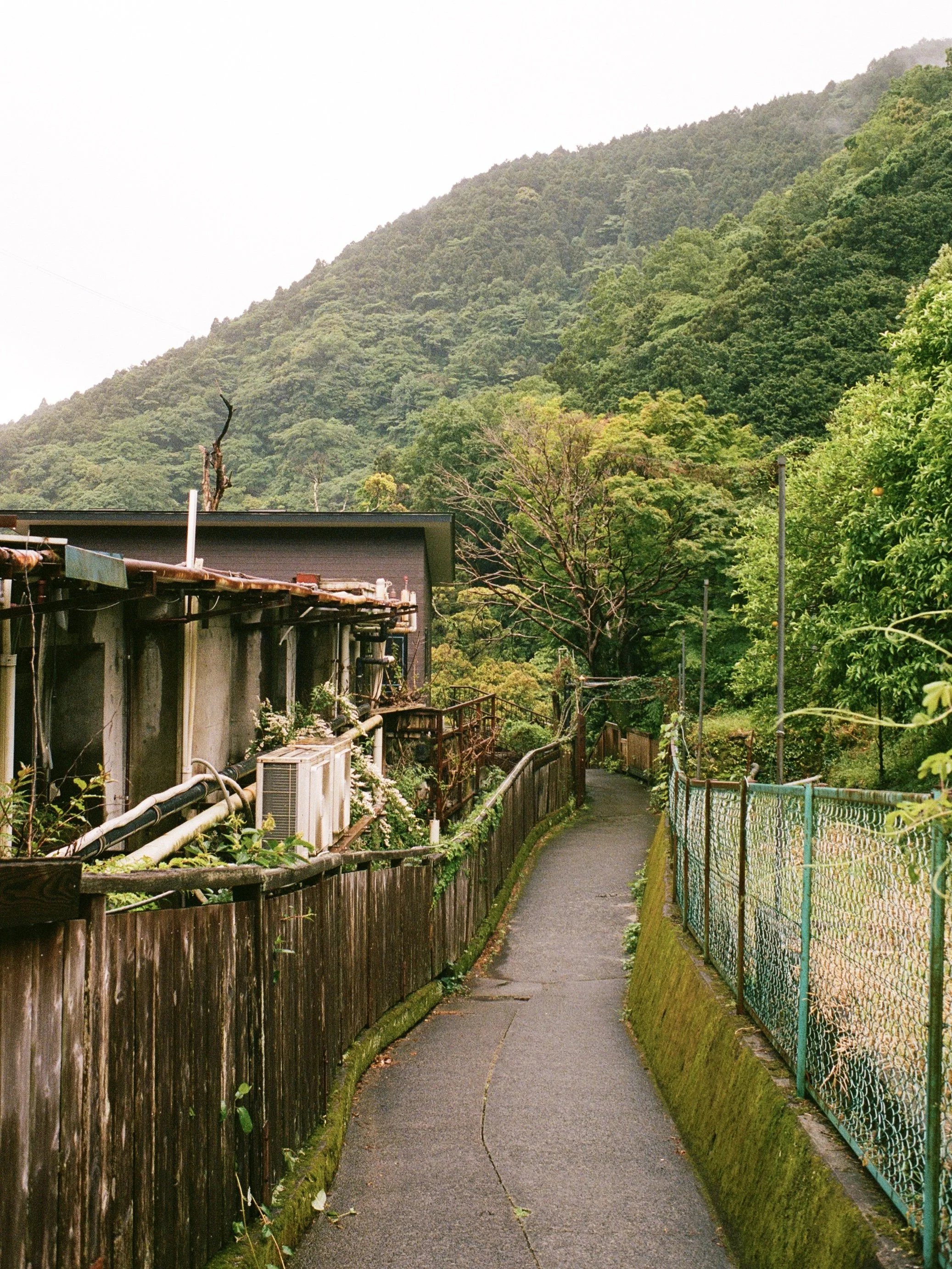 kodak_portra_400(14).jpeg