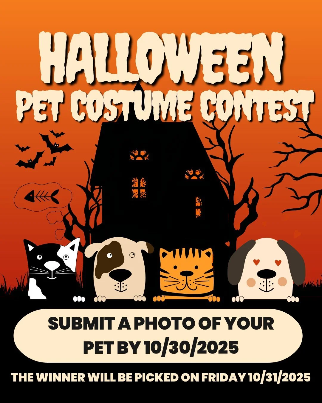 Submit photos of your pet in a costume for a chance to win a $10 visa gift card. The deadline for the submission will be on Thursday 10/30/2025. We will be posting all submitted photos! You can email your submission to info@loudouncu.com