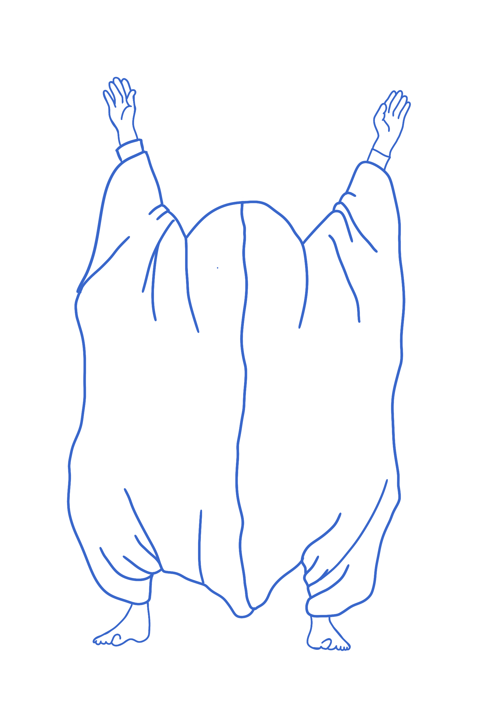 turkey suit