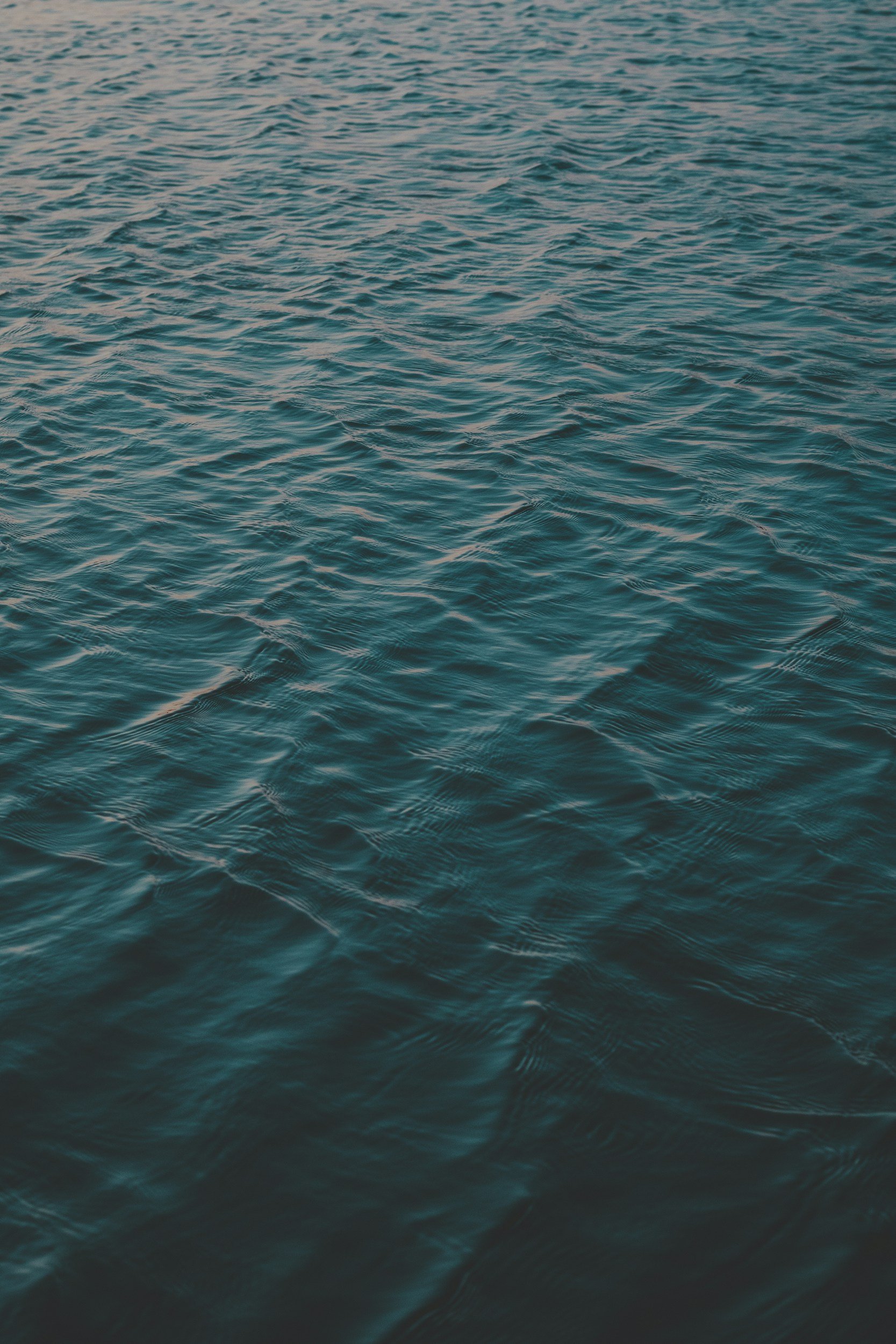 Pain Isn’t Just About Damage: A Modern Approach to Chiropractic Care on the Northern Beaches