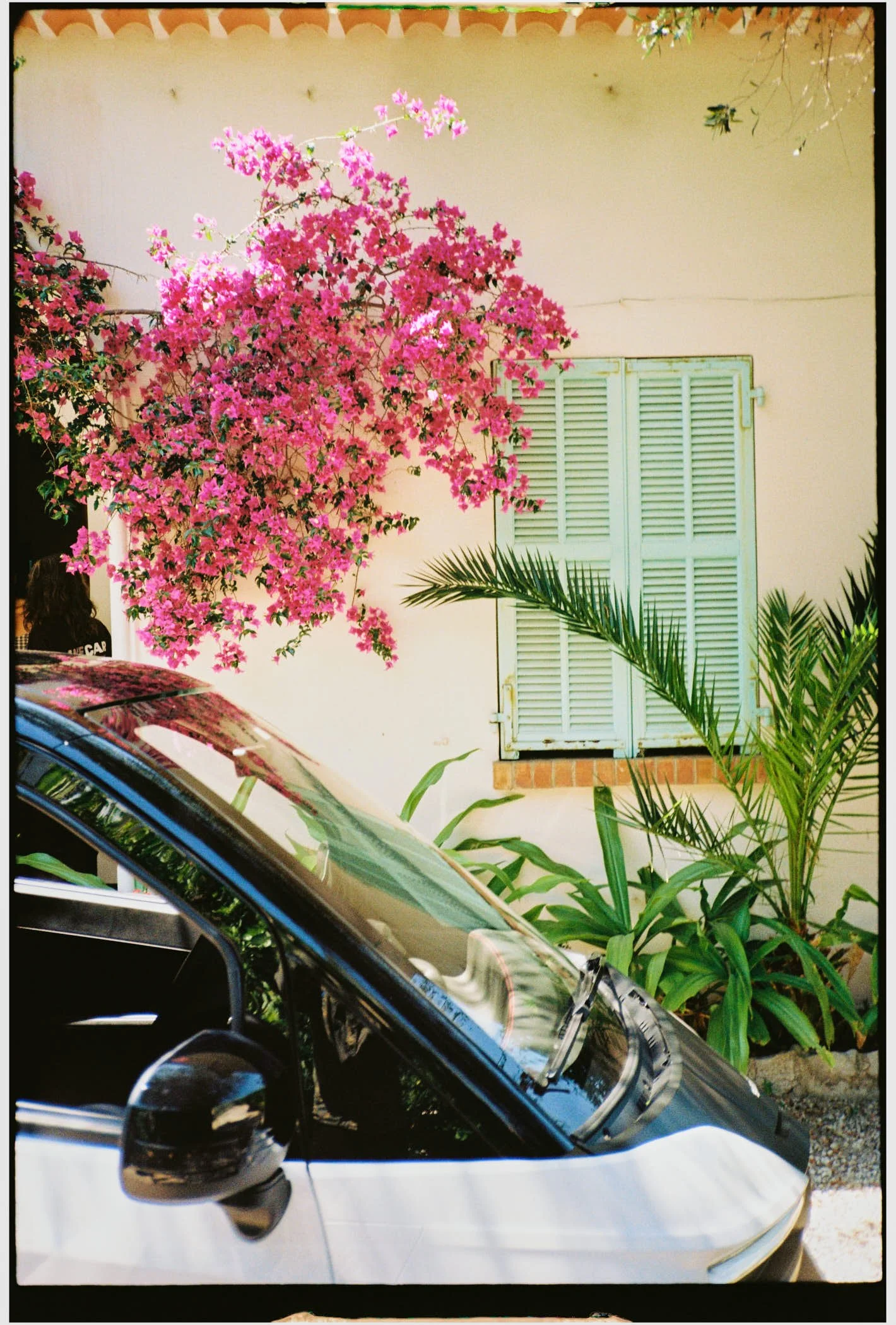 2025_06_17-18_PRP_Silence_Cannes_Film Scans_051 (1).jpg