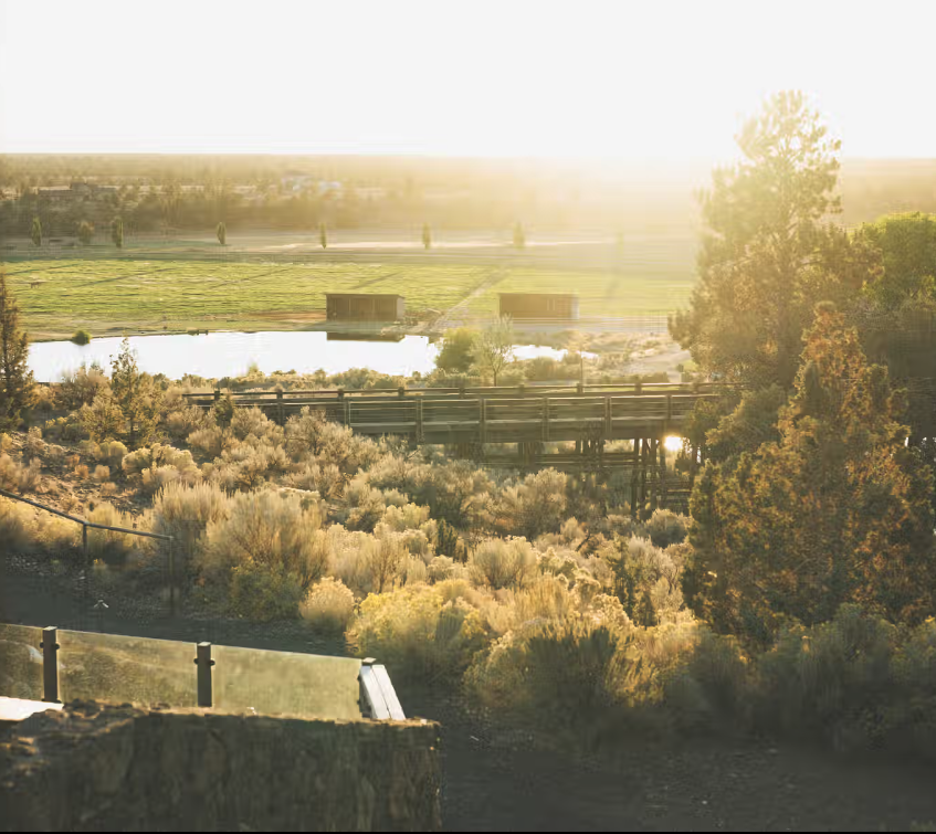 Screenshot 2024-12-18 at 11.04.35 PM.png