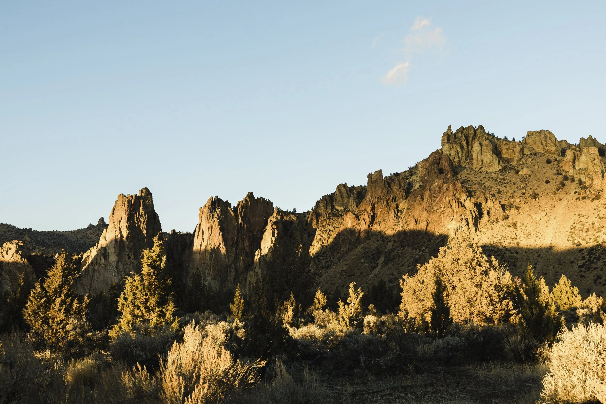 Justin+Raven-November 26 2024-099.jpg