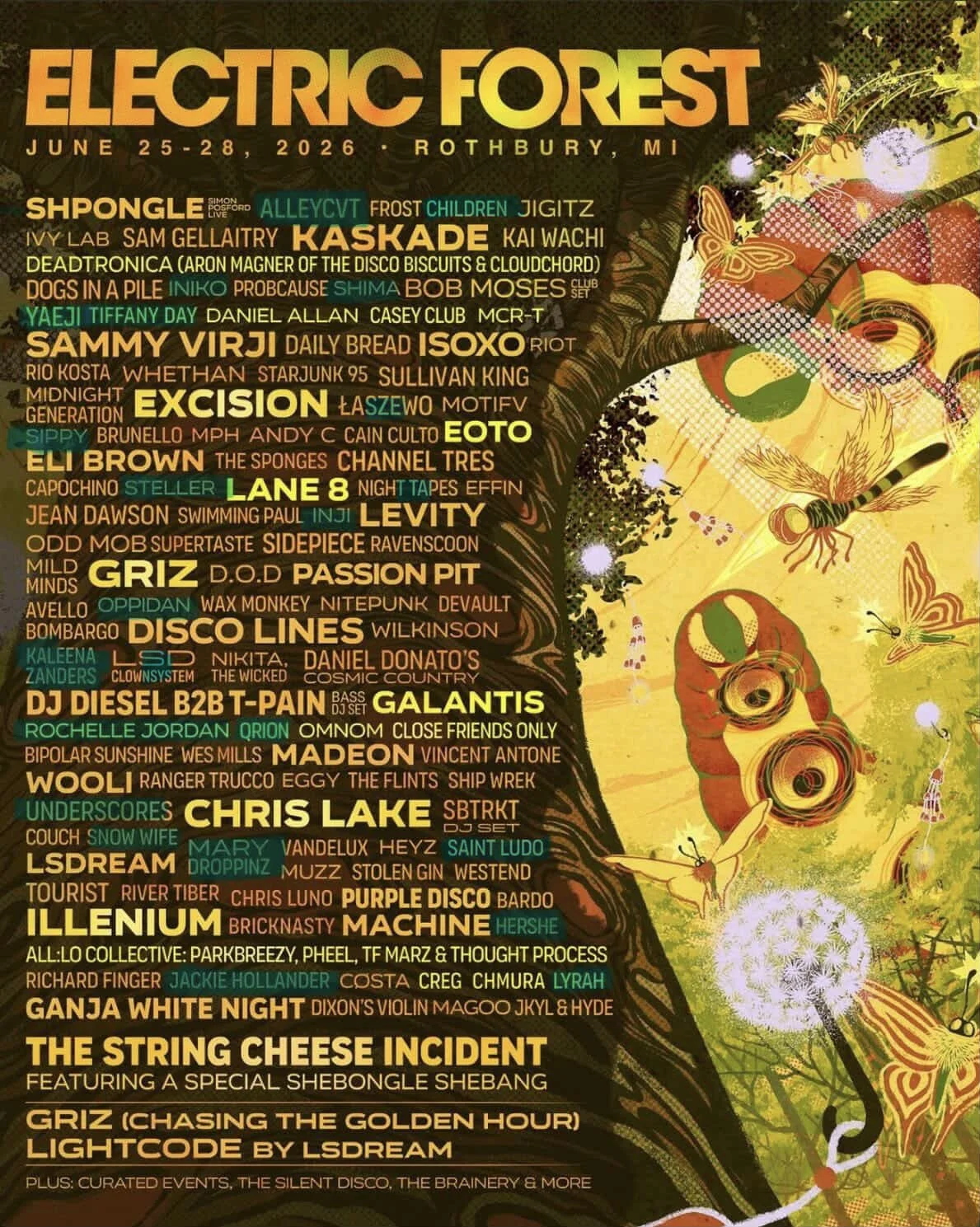 Bass Babes To See at Electric Forest 2026