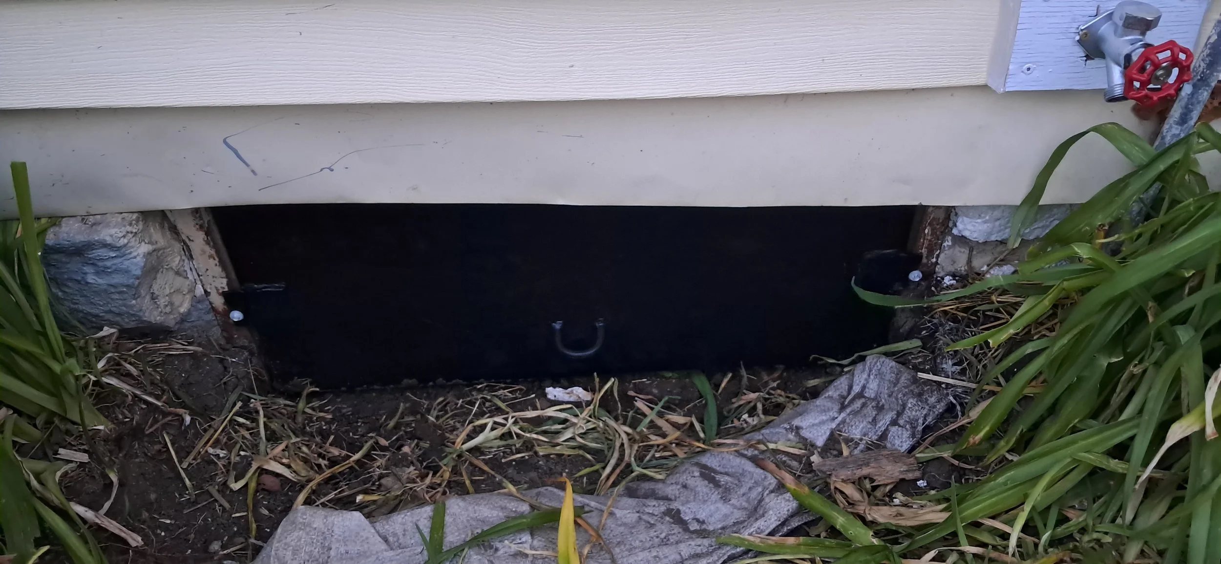 Crawl Space Access Door