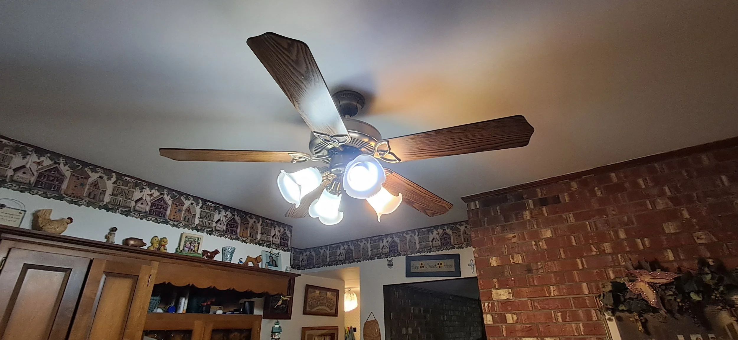 20250529_112044.jpeg