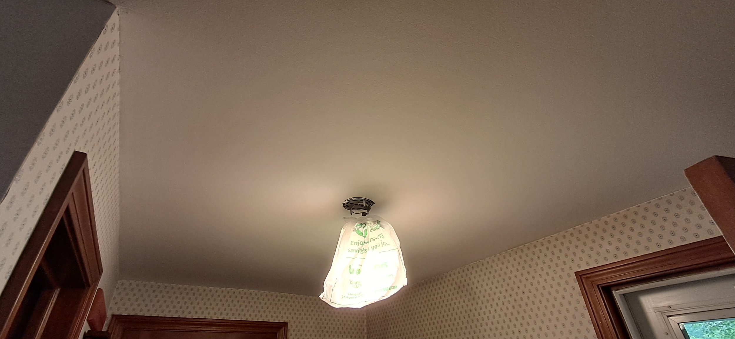 20250529_112053.jpeg