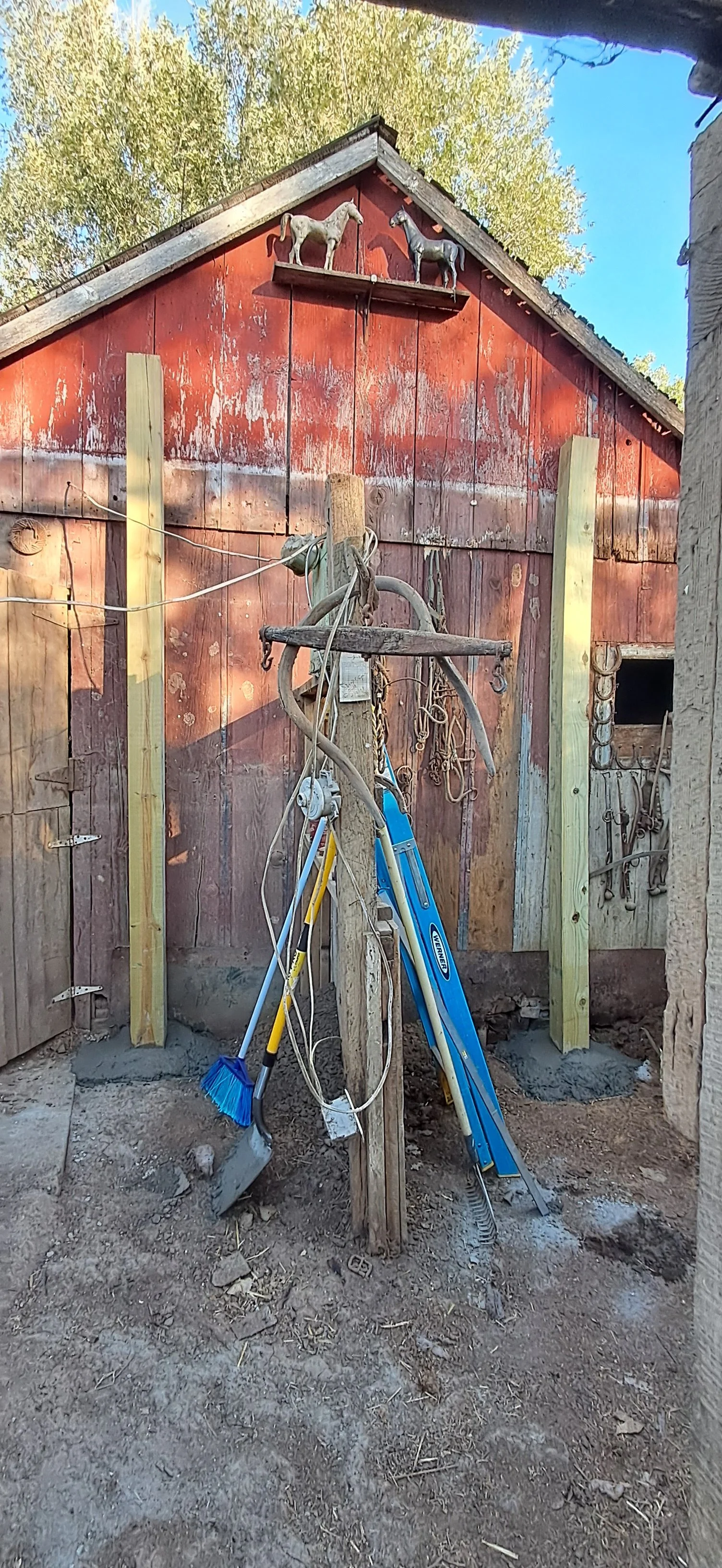 20251022_171215.jpeg