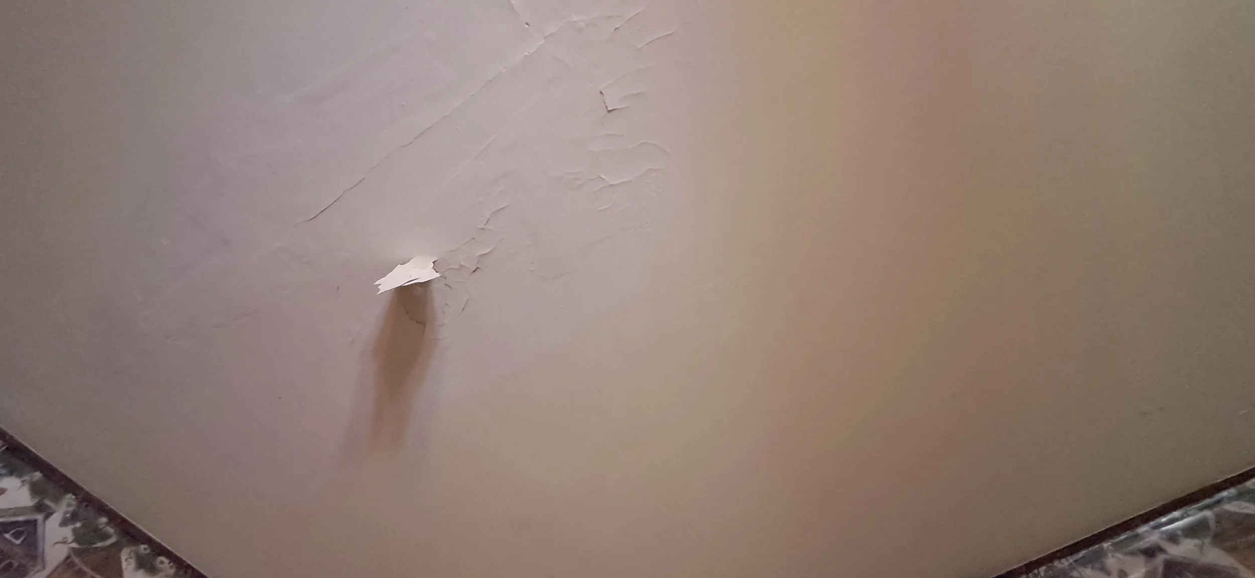 20250527_104340.jpeg
