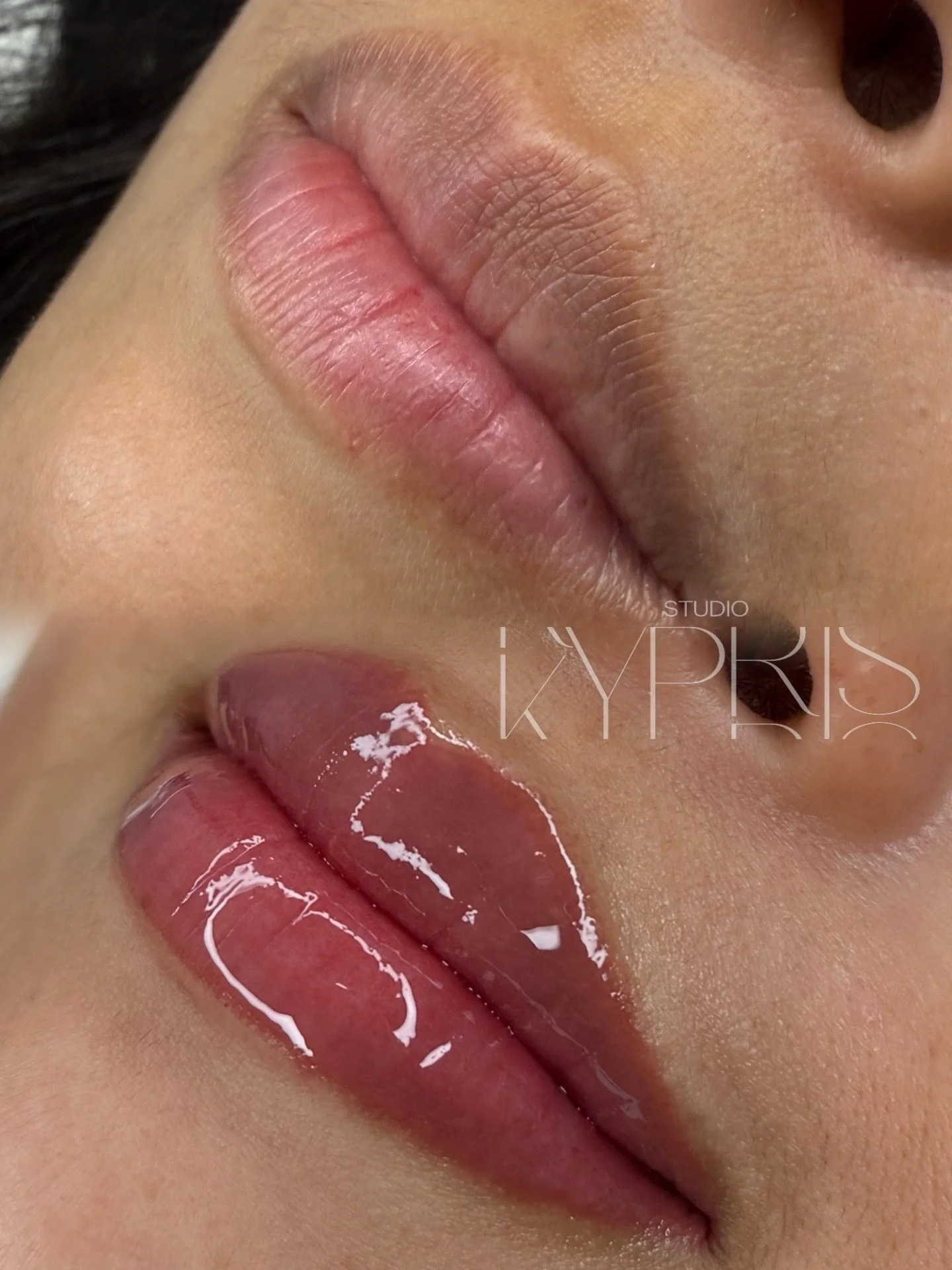 🍒AMZ Lip Blush Technique🍒

#darklipneutralization 

Dm to book or book online!