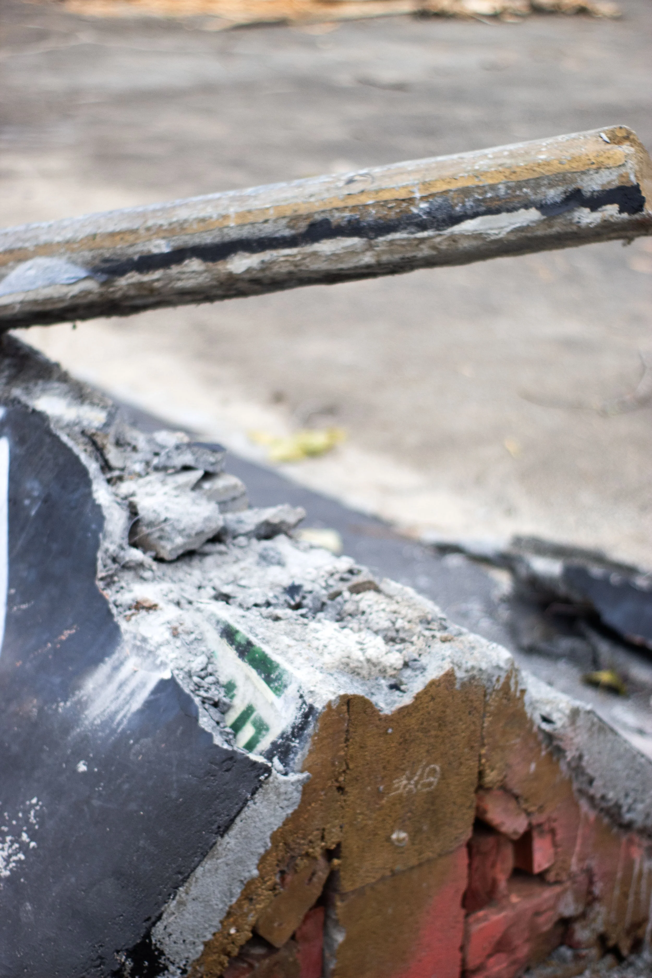 Spine Of The Trap copy.jpg