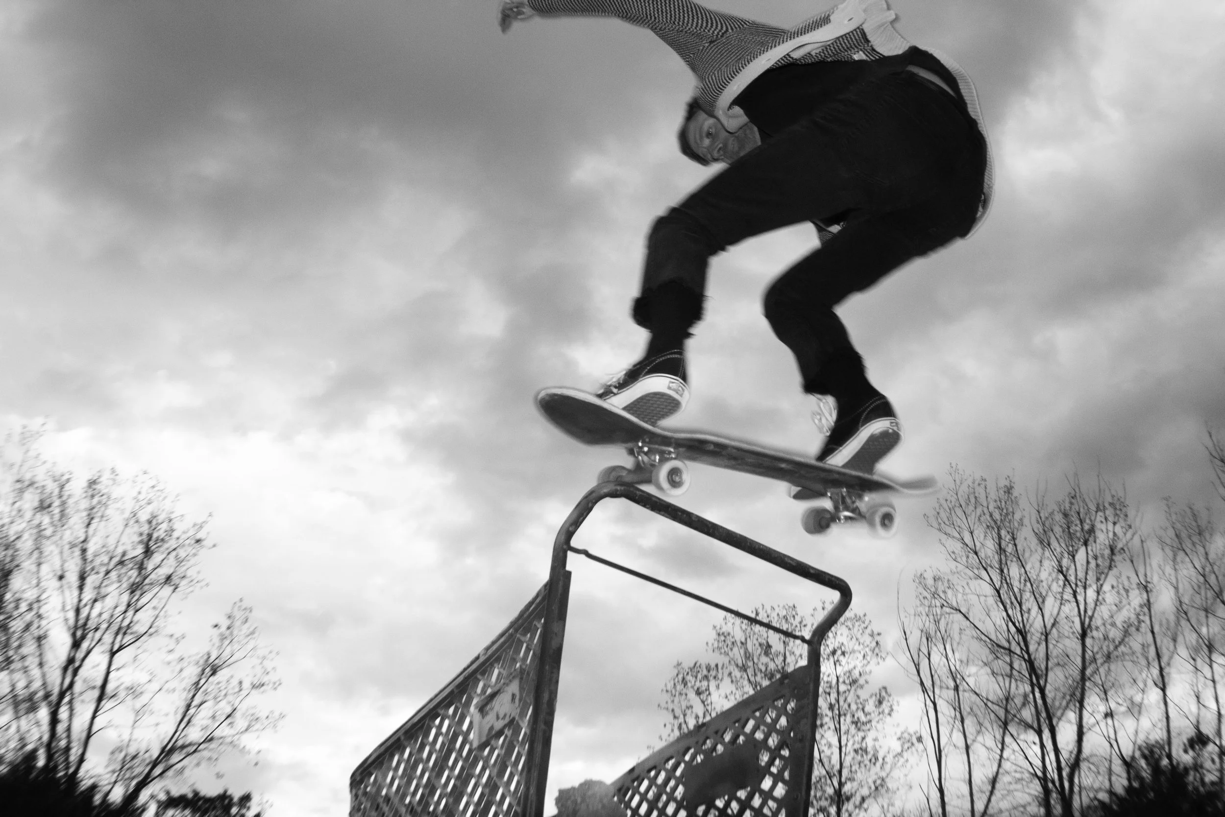 Josh Nosegrind shopping cart copy.jpg