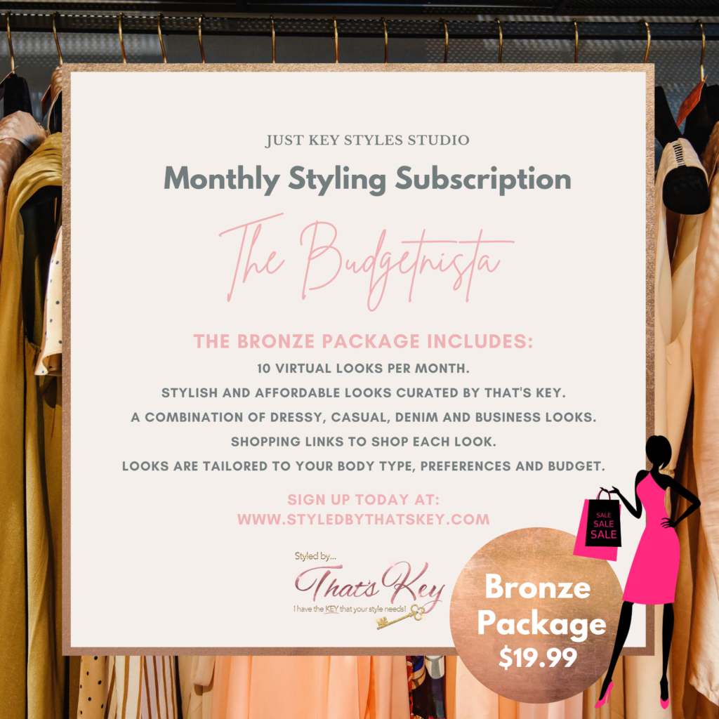 Advertisement for a monthly styling subscription called The Budgetnista, offering 10 virtual looks per month with different styles, shopping links, and tailored looks. The ad features a stylized illustration of a woman in a pink dress holding a shopping bag, with a background of hanging clothing and text detailing the package.