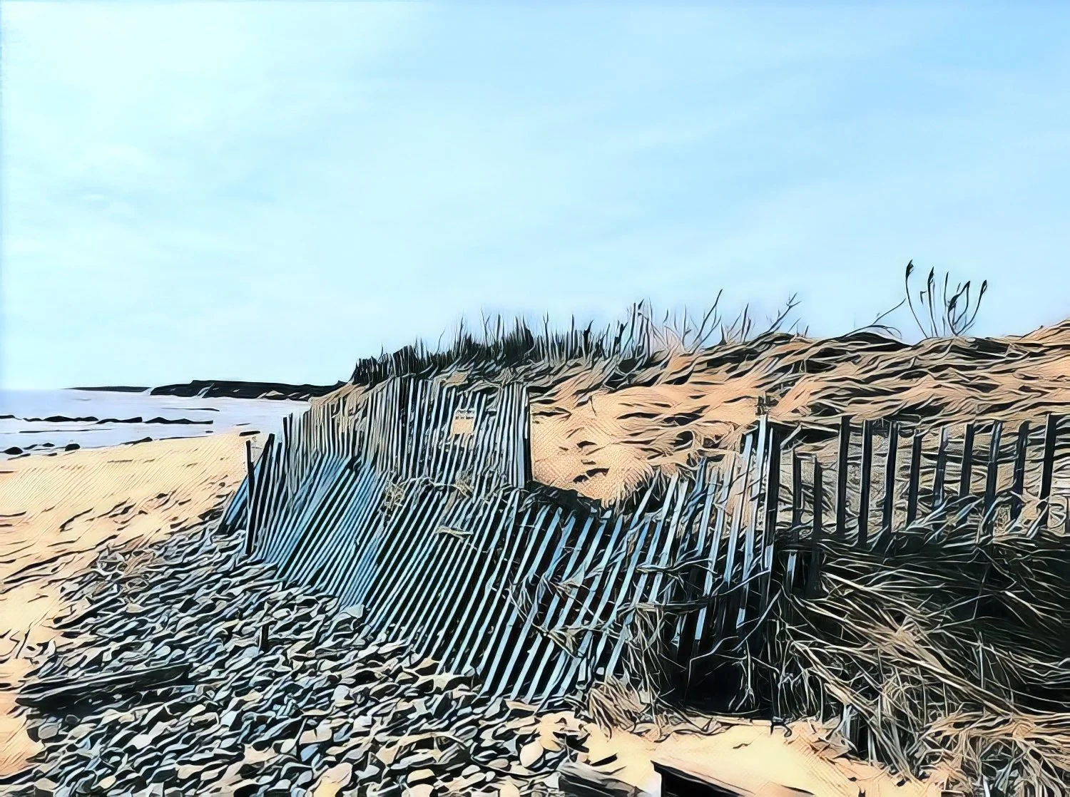 Beach.jpg