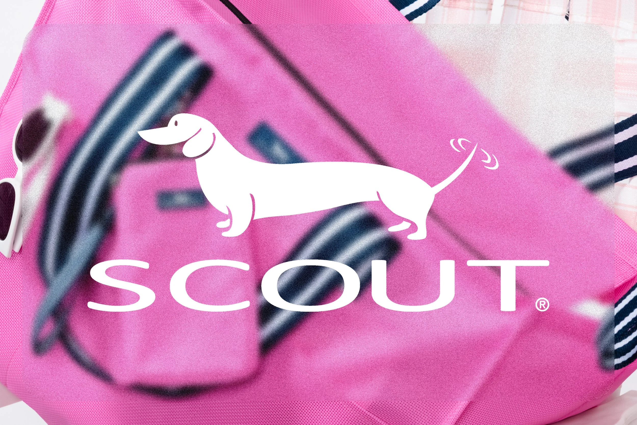 SCOUT Bags