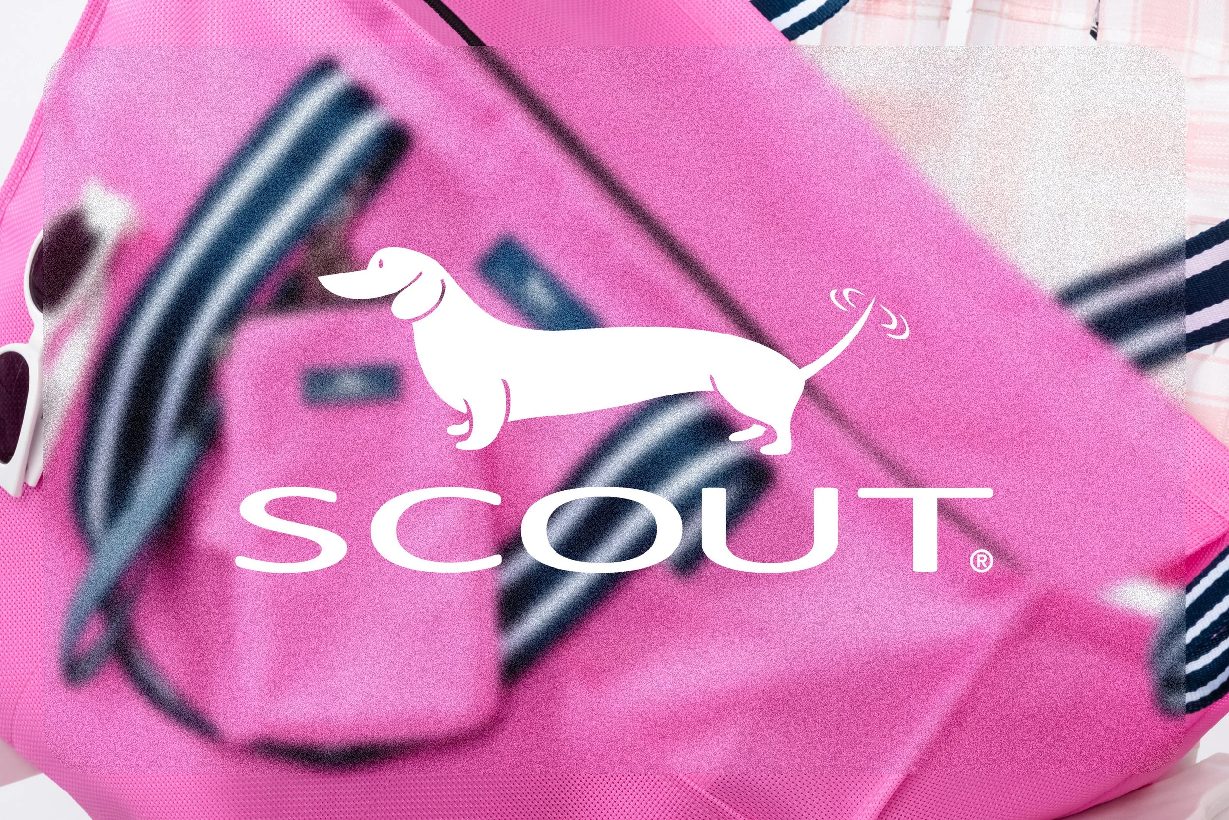 SCOUT Bags