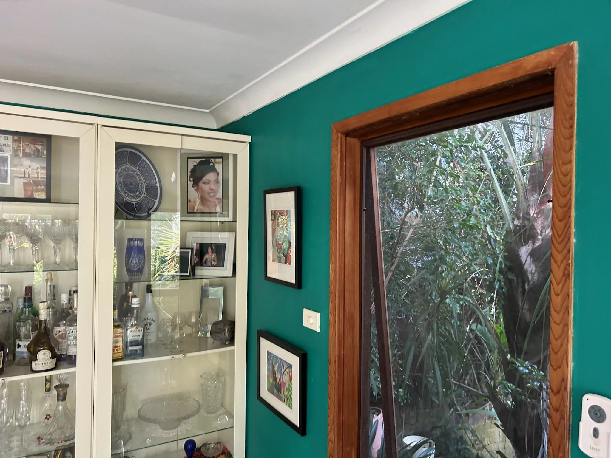 2023-04-19 101535.jpeg