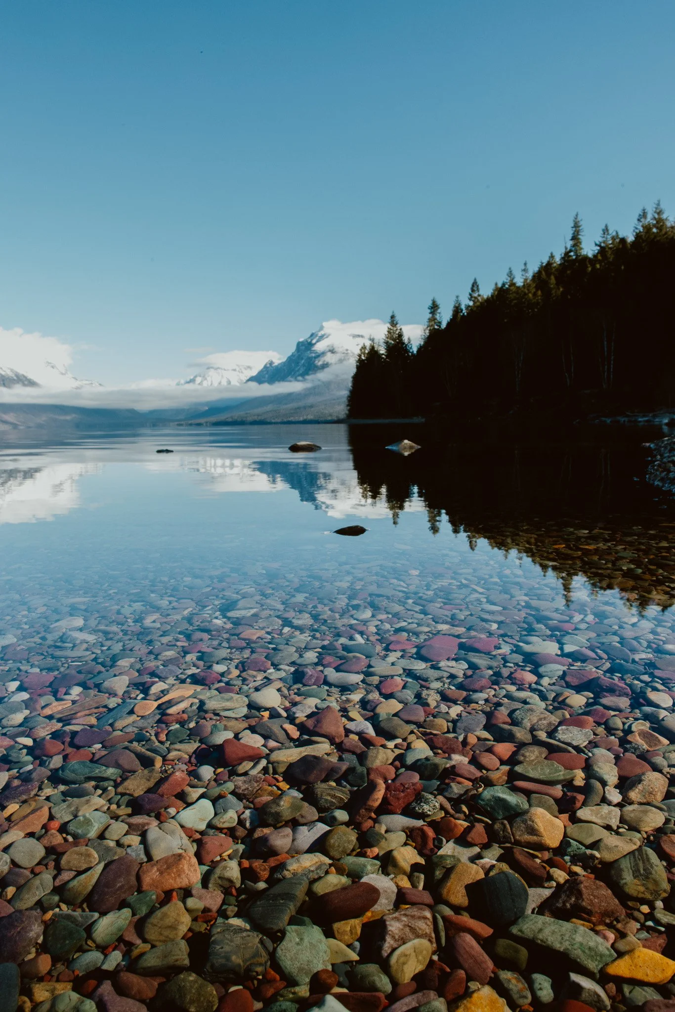 earth day 2026-4.jpg