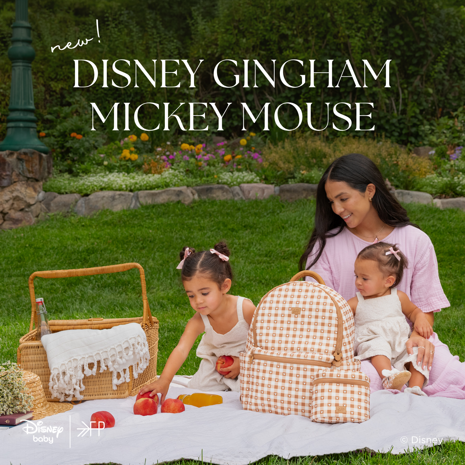 Ad 5_GinghamMickey.png
