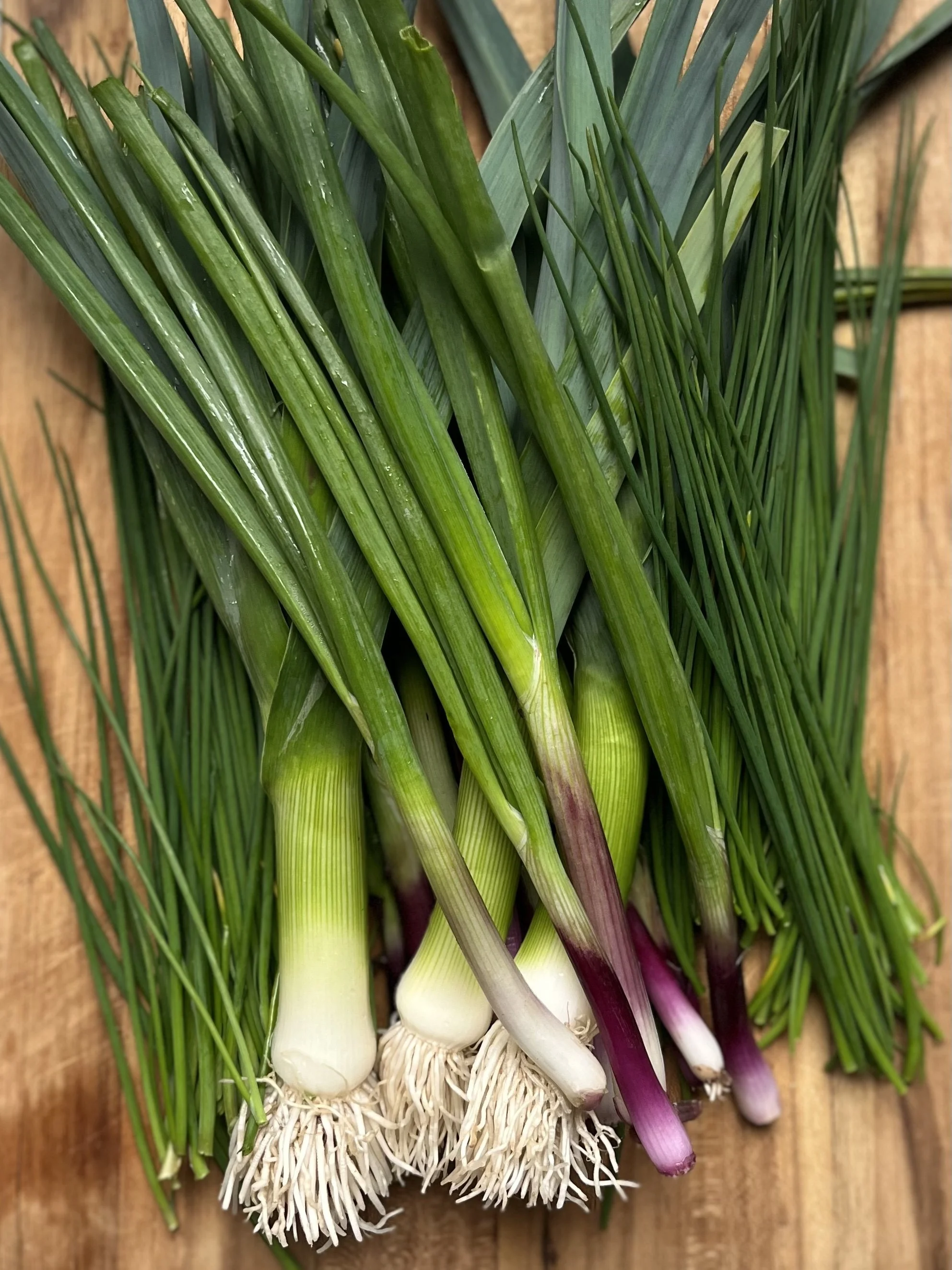 springonions.jpg