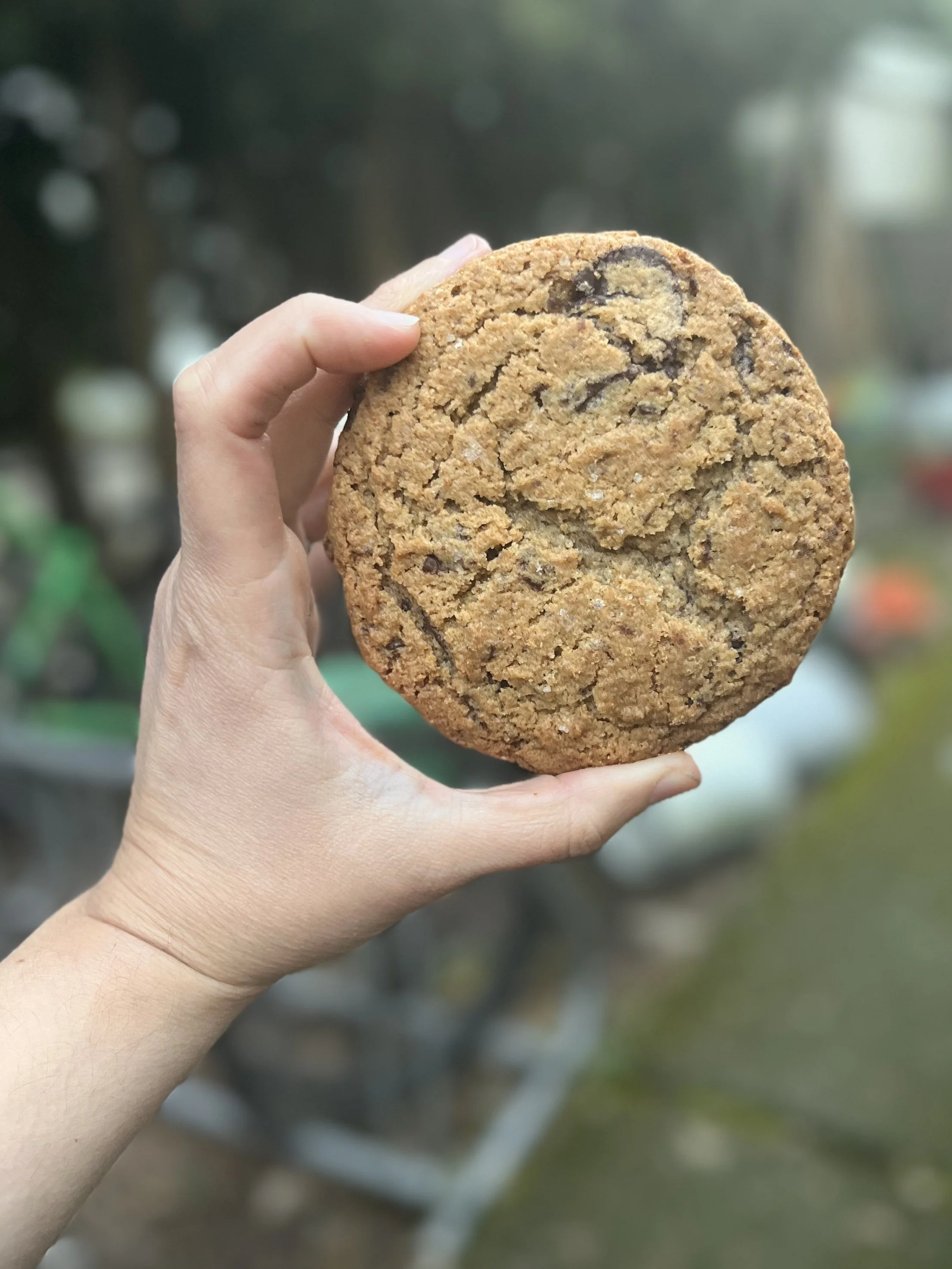 Chocolate Chip Rye Cookie