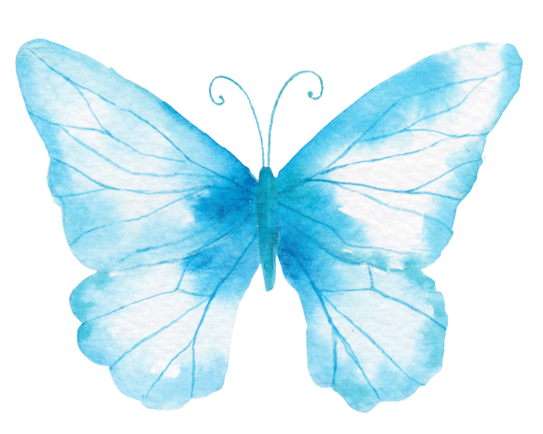 Blue butterfly with semi-transparent wings and visible wing veins.