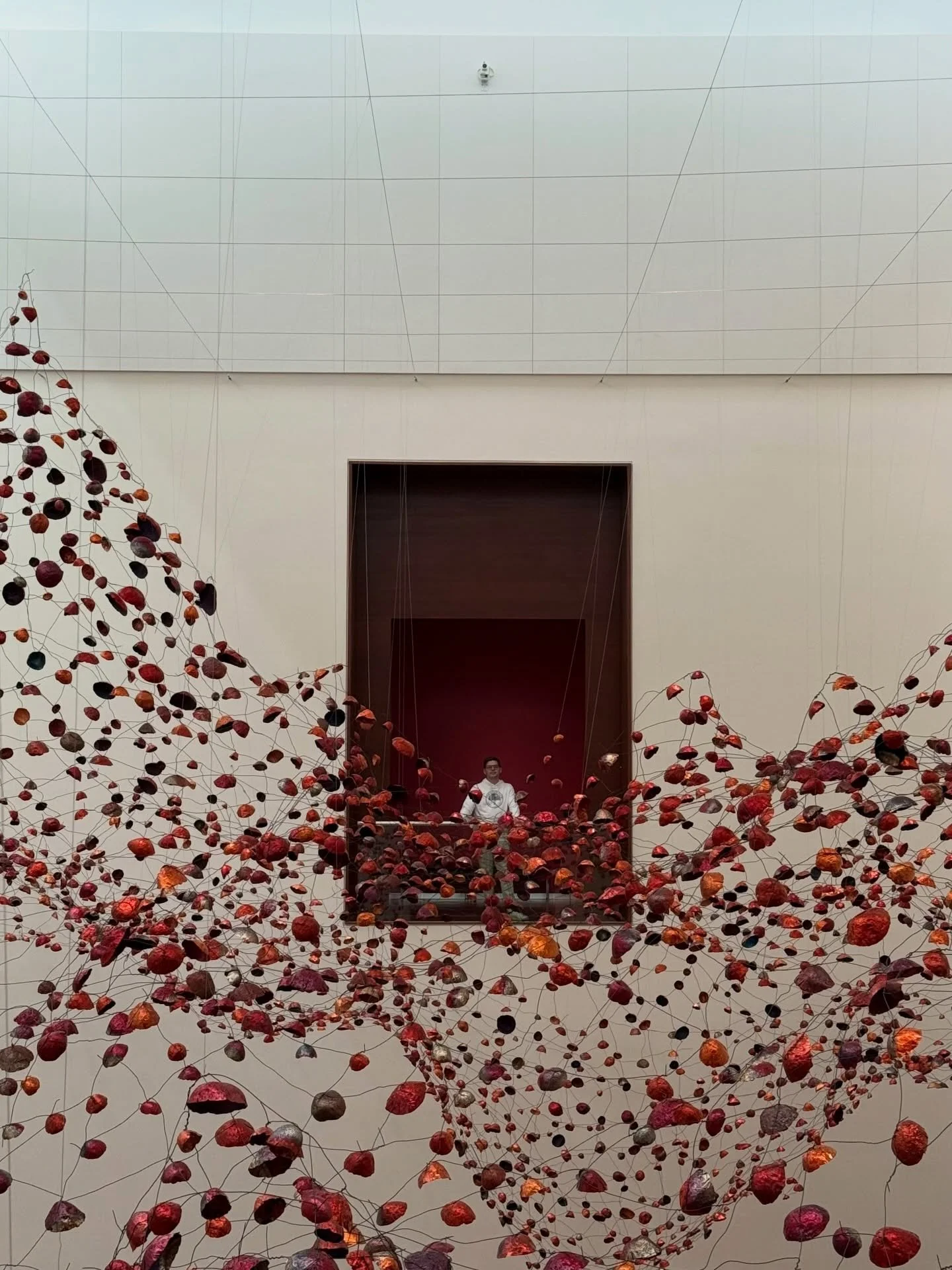 Our first autumn in Utah 🏔️🍁