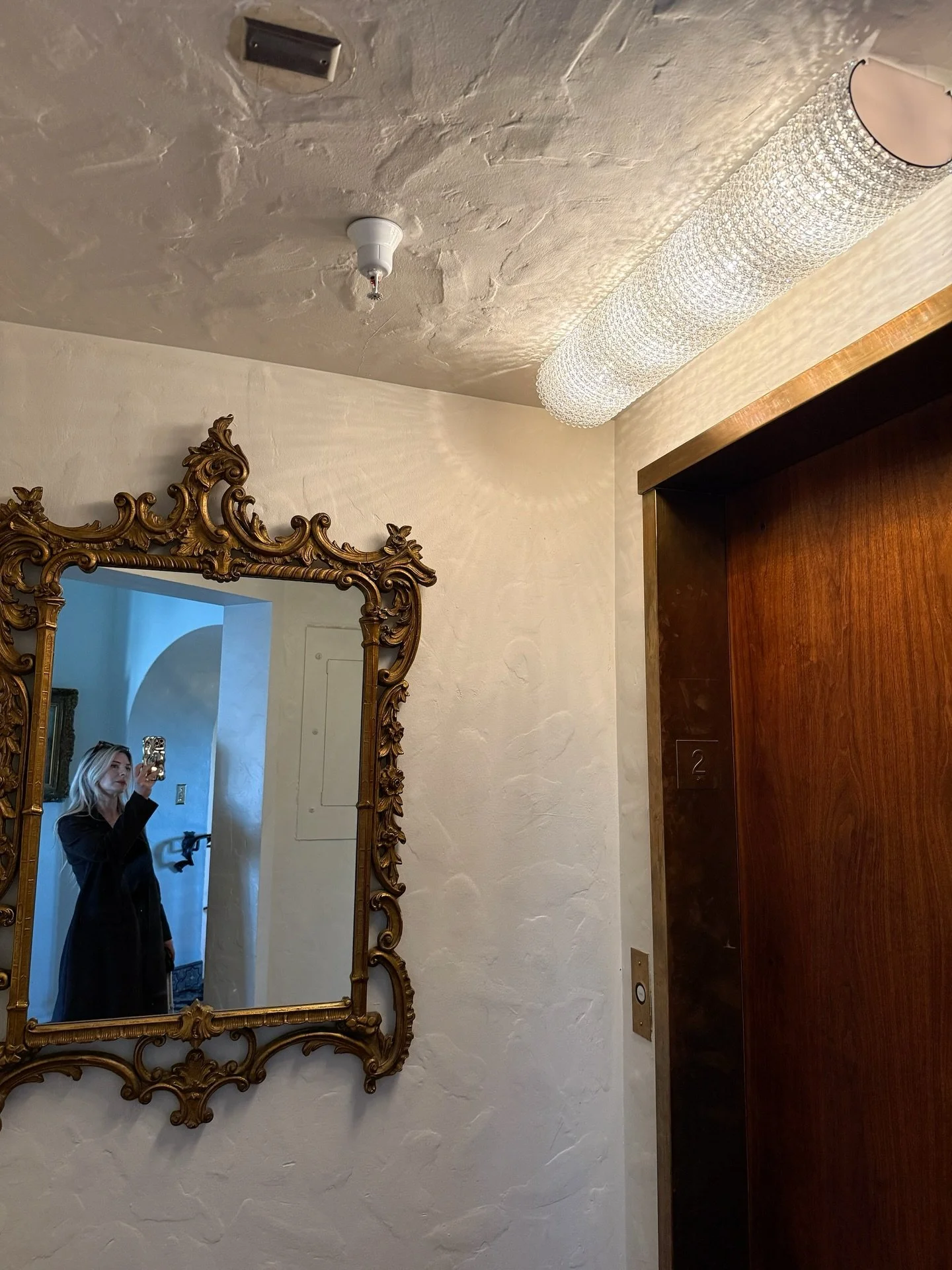 Solar powered🐦&zwj;🔥🌵