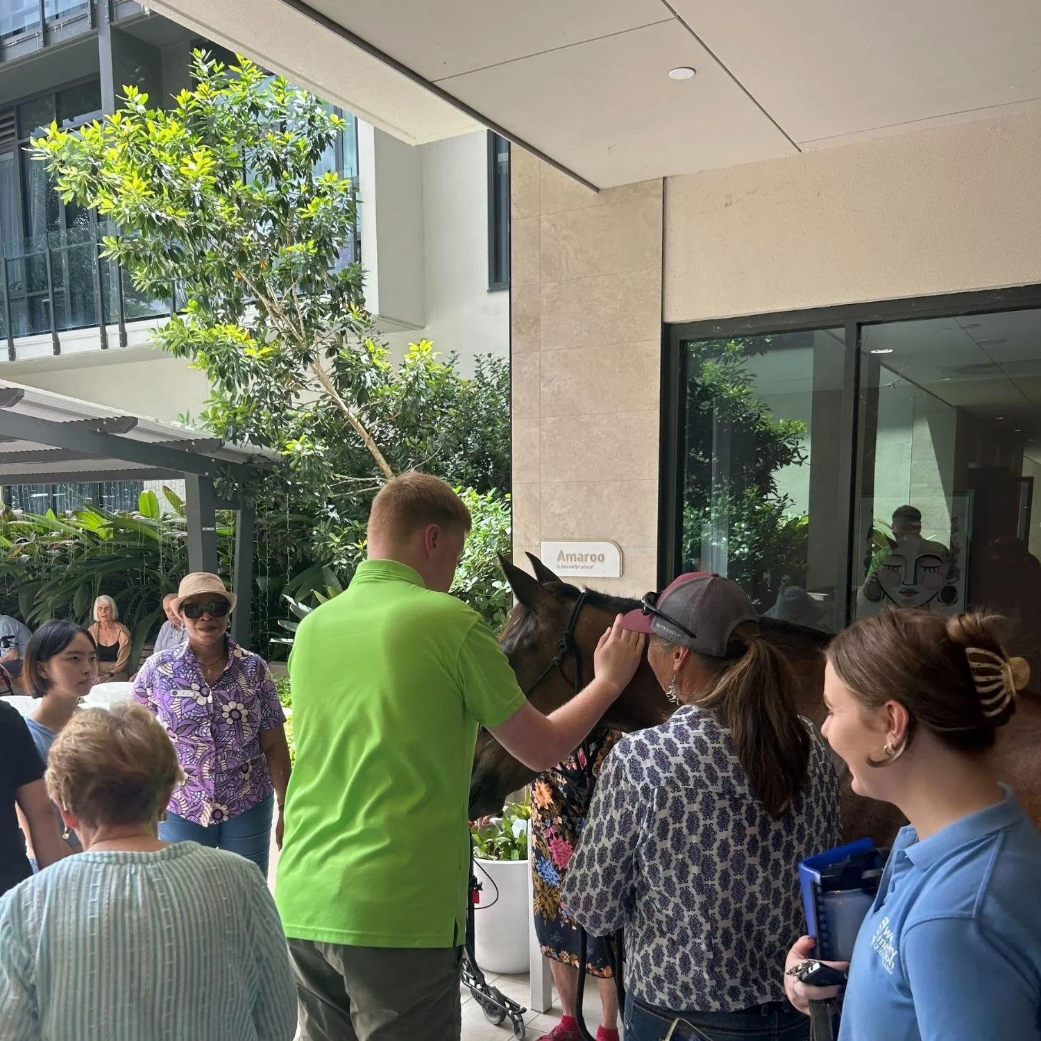 NDIS participant caressing a horse.
