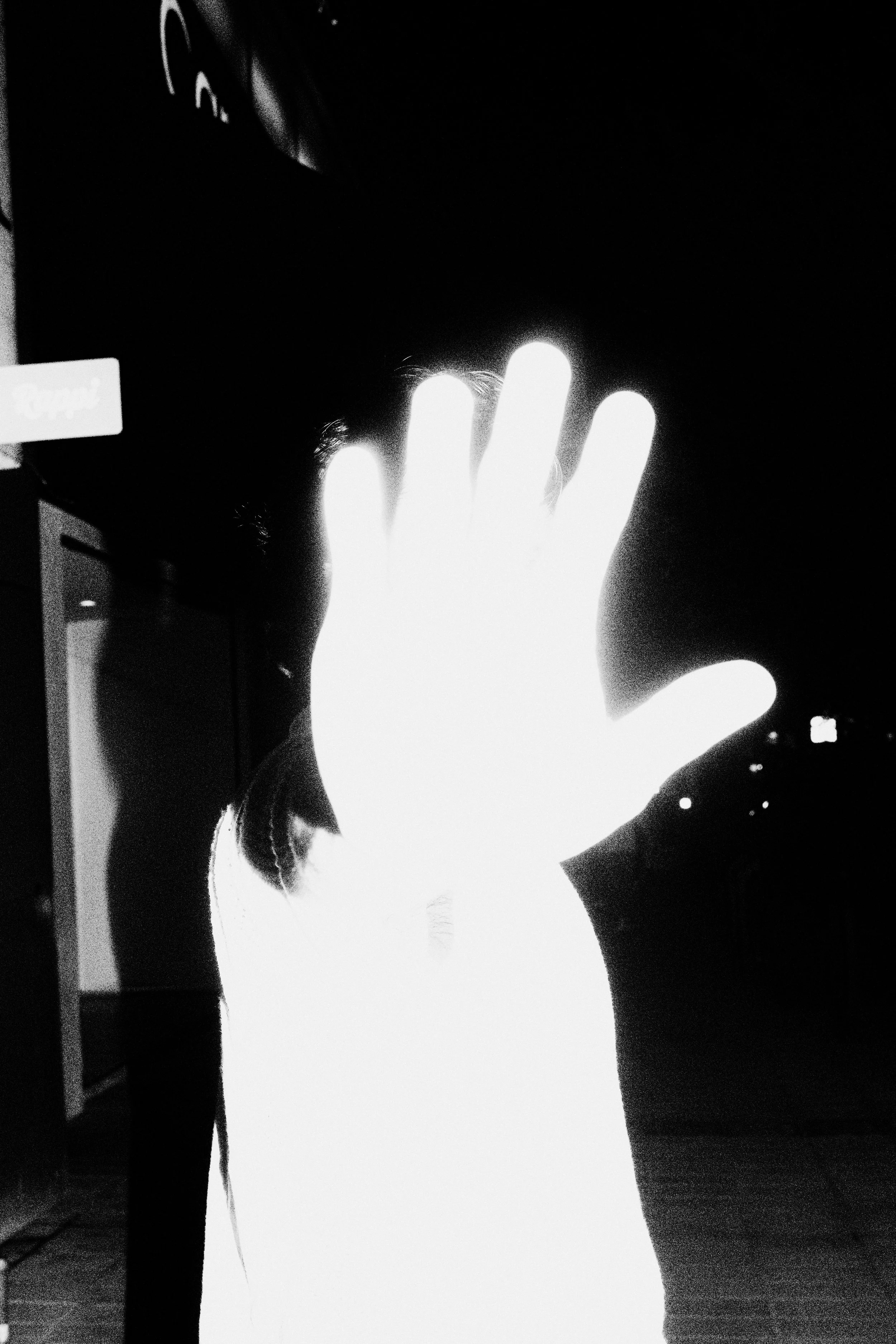 DSCF2487.jpg