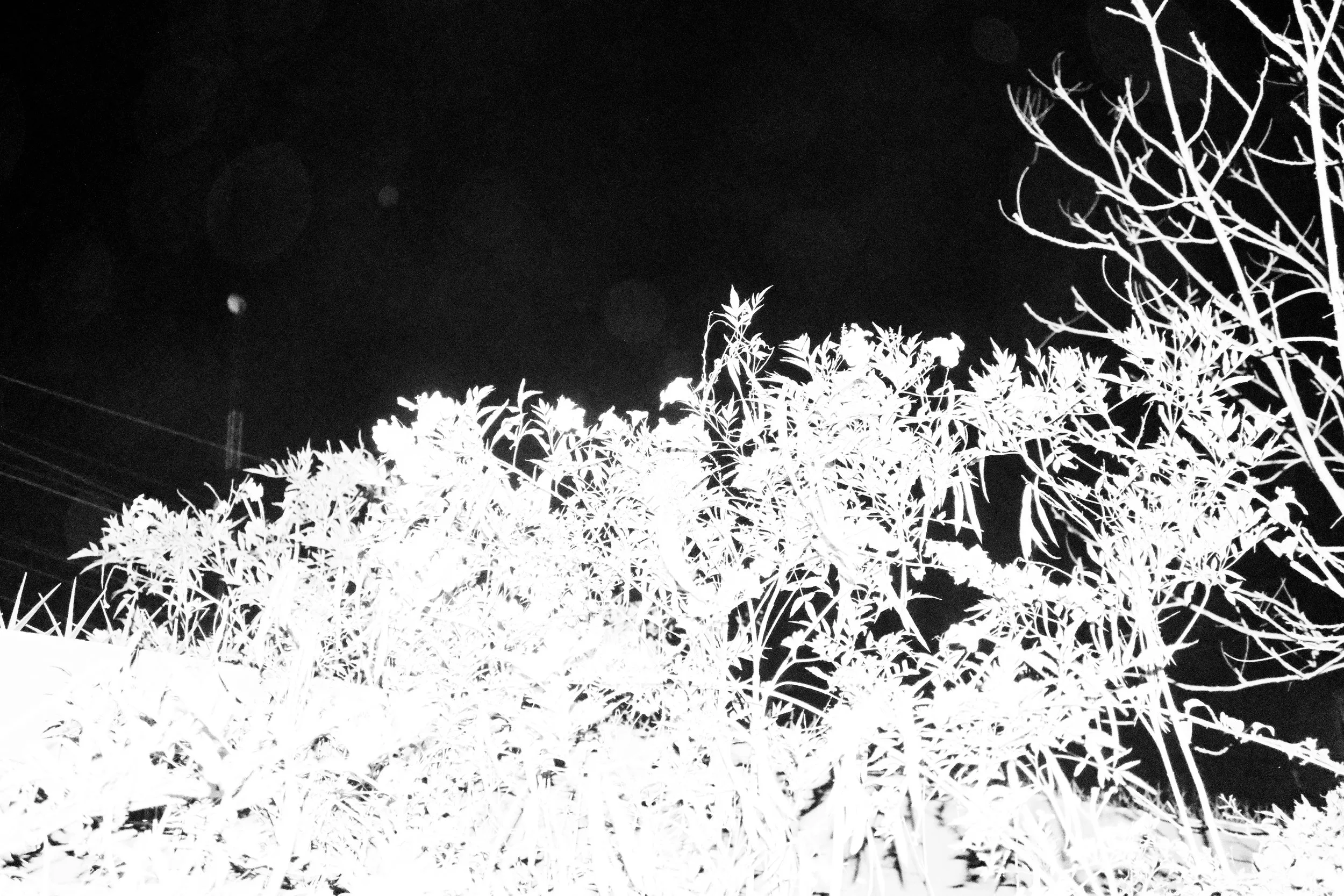 DSCF3430.jpg