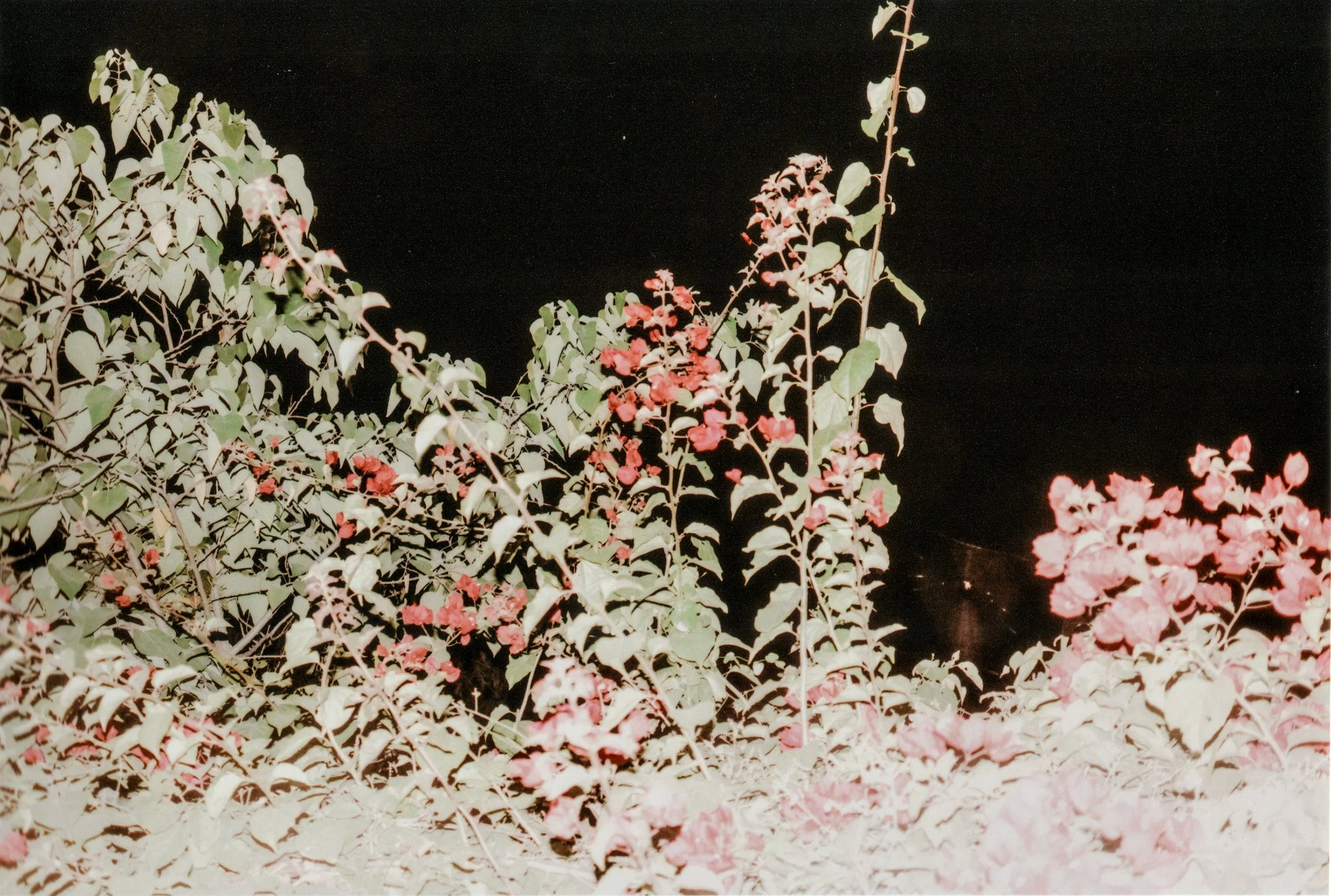 img20251222_18401512.jpg