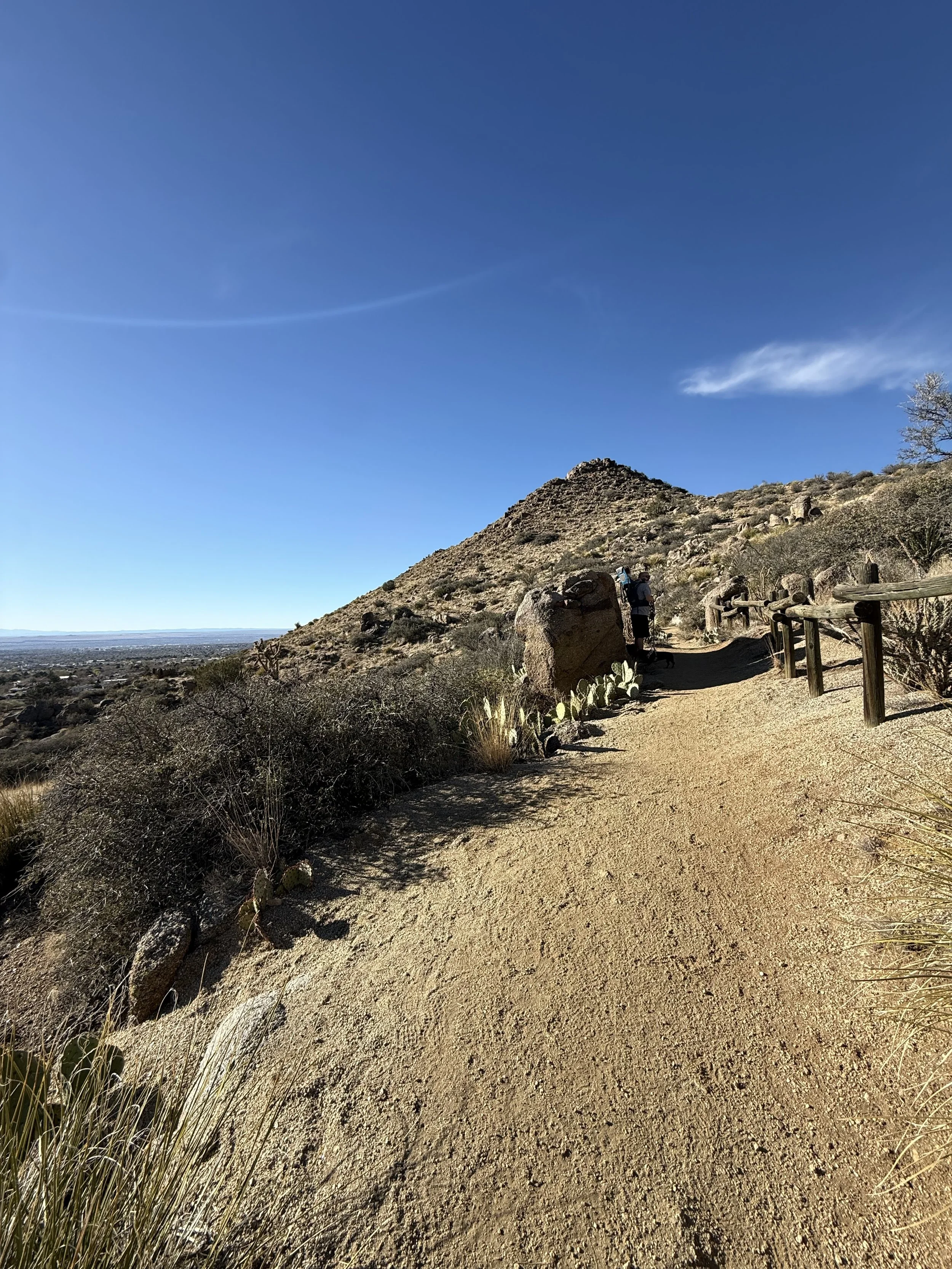 The IN List 2026: March 16th - 22nd