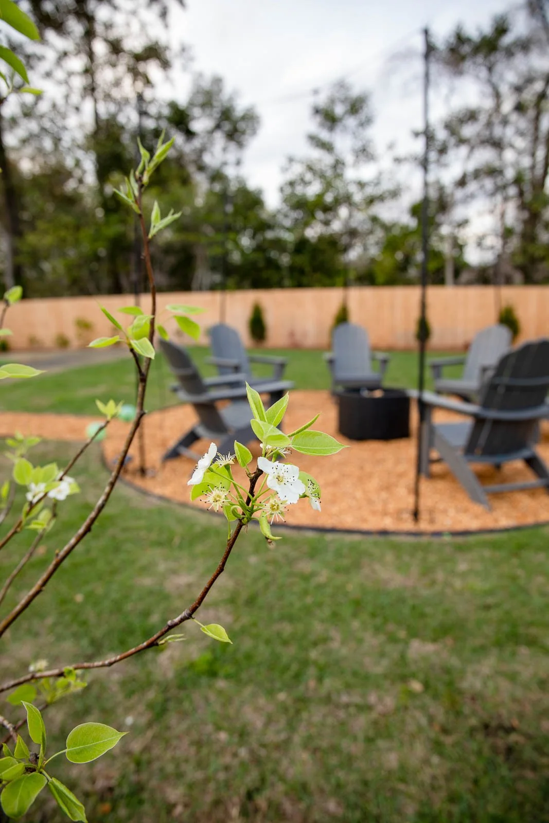 A backyard with a plant in the foreground, a circular seating area with Adirondack chairs, and a wooden fence in the background.