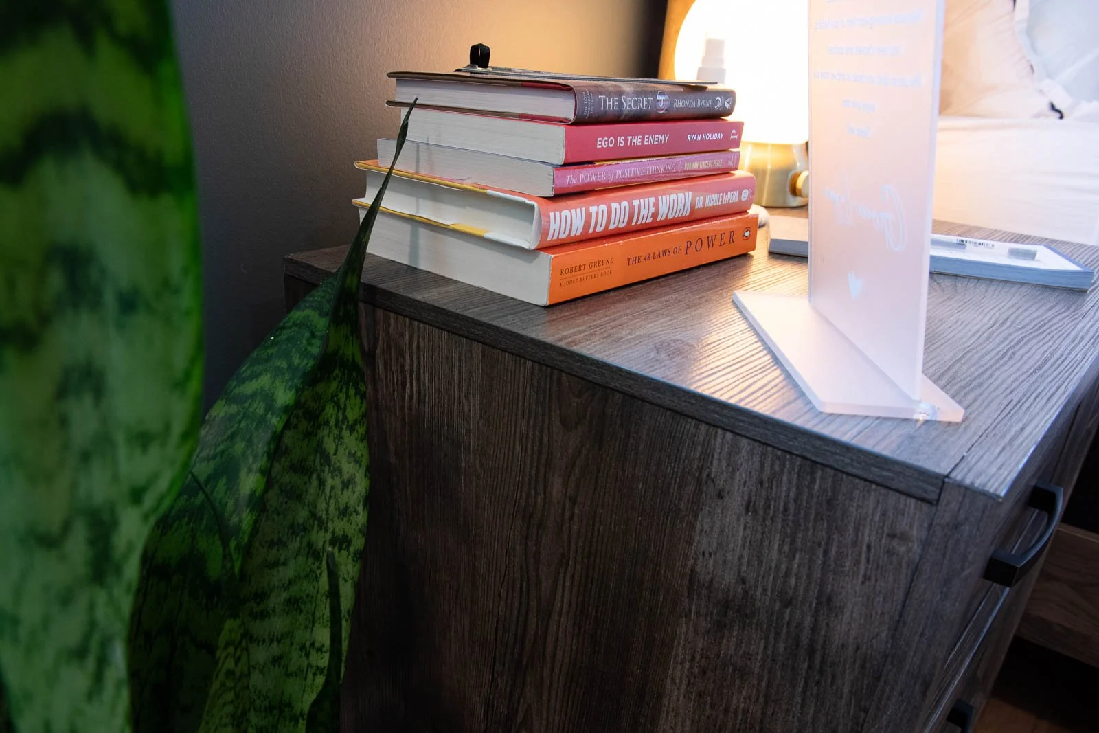 Stack of there books on a wooden desk illuminated by a lamp with a large green plant nearby.